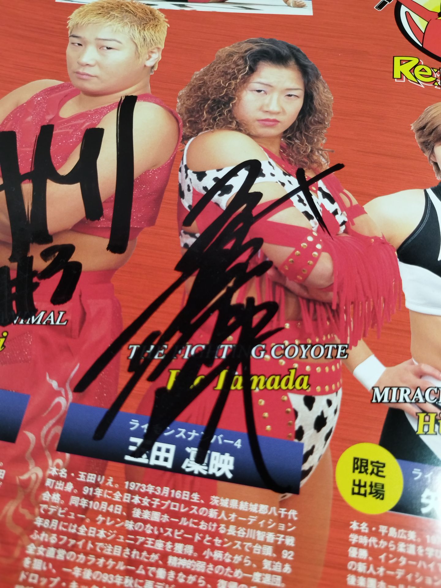 [3 fighters hand signed autograph ARSION  Official Guidebook Vol.15