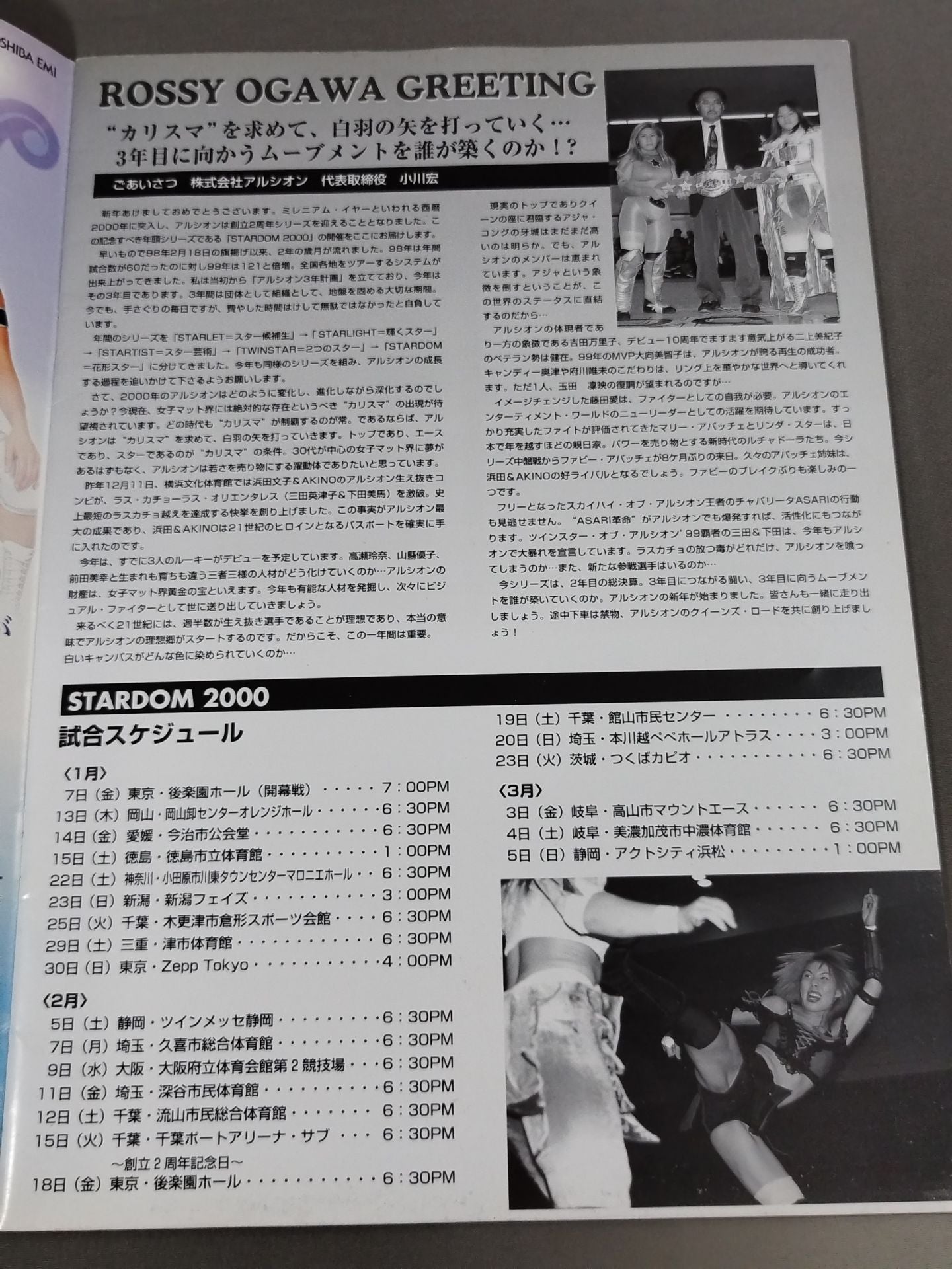 ARSION  Official Guidebook Vol.14