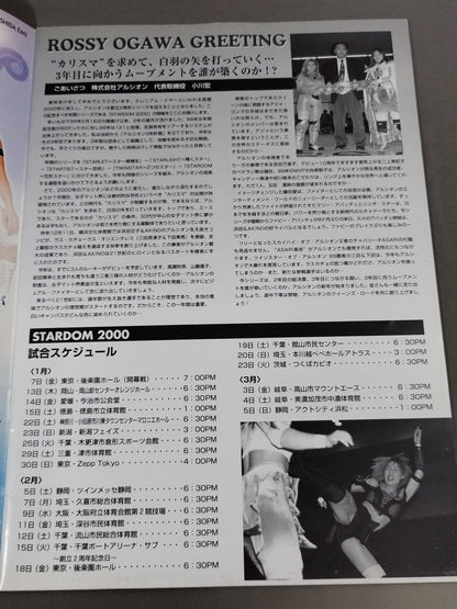 ARSION  Official Guidebook Vol.14