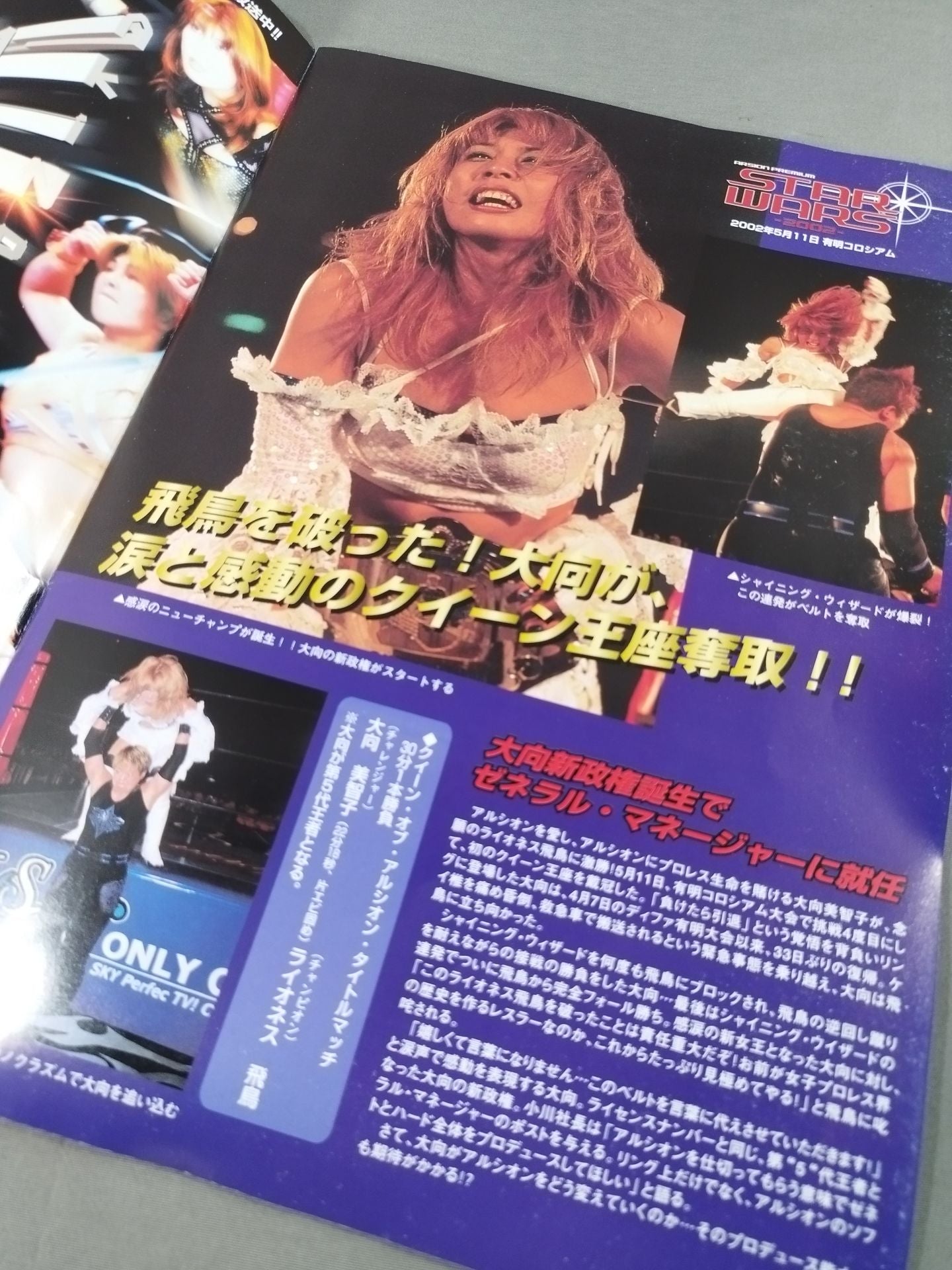 ARSION  Official Guidebook Vol.27