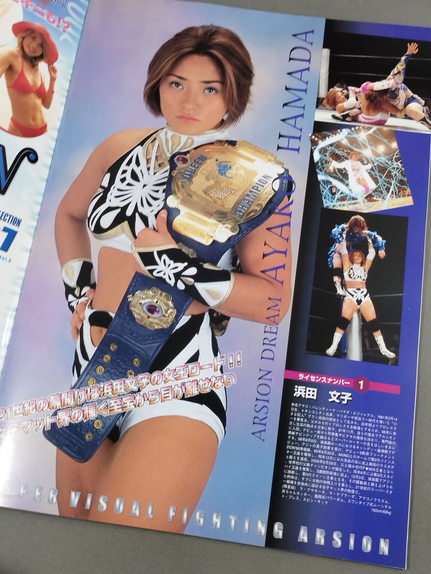 ARSION  Official Guidebook Vol.18