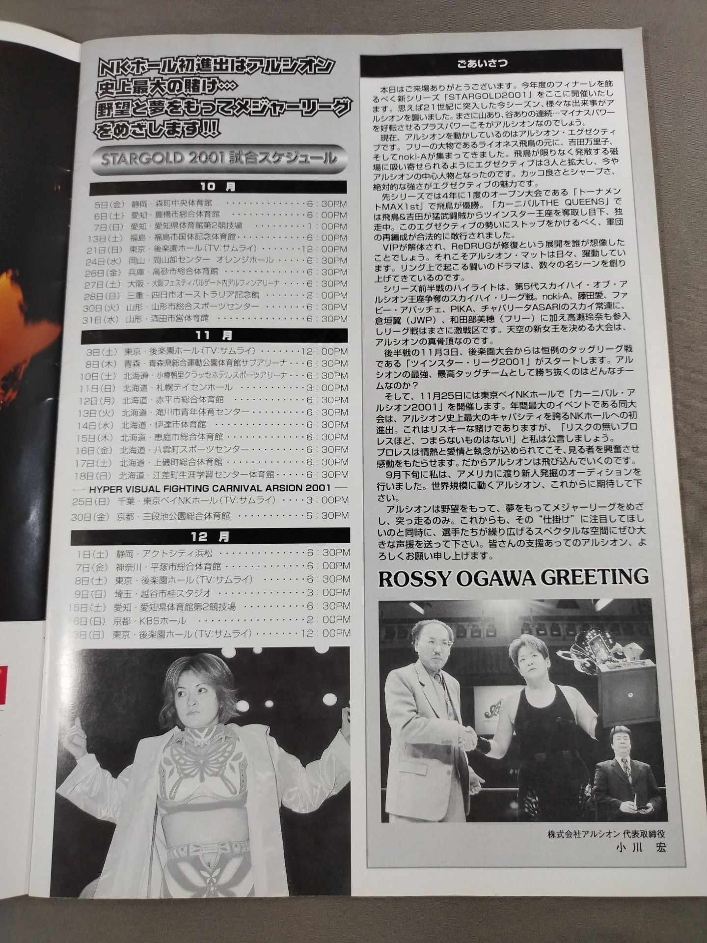 ARSION  Official Guidebook Vol.22