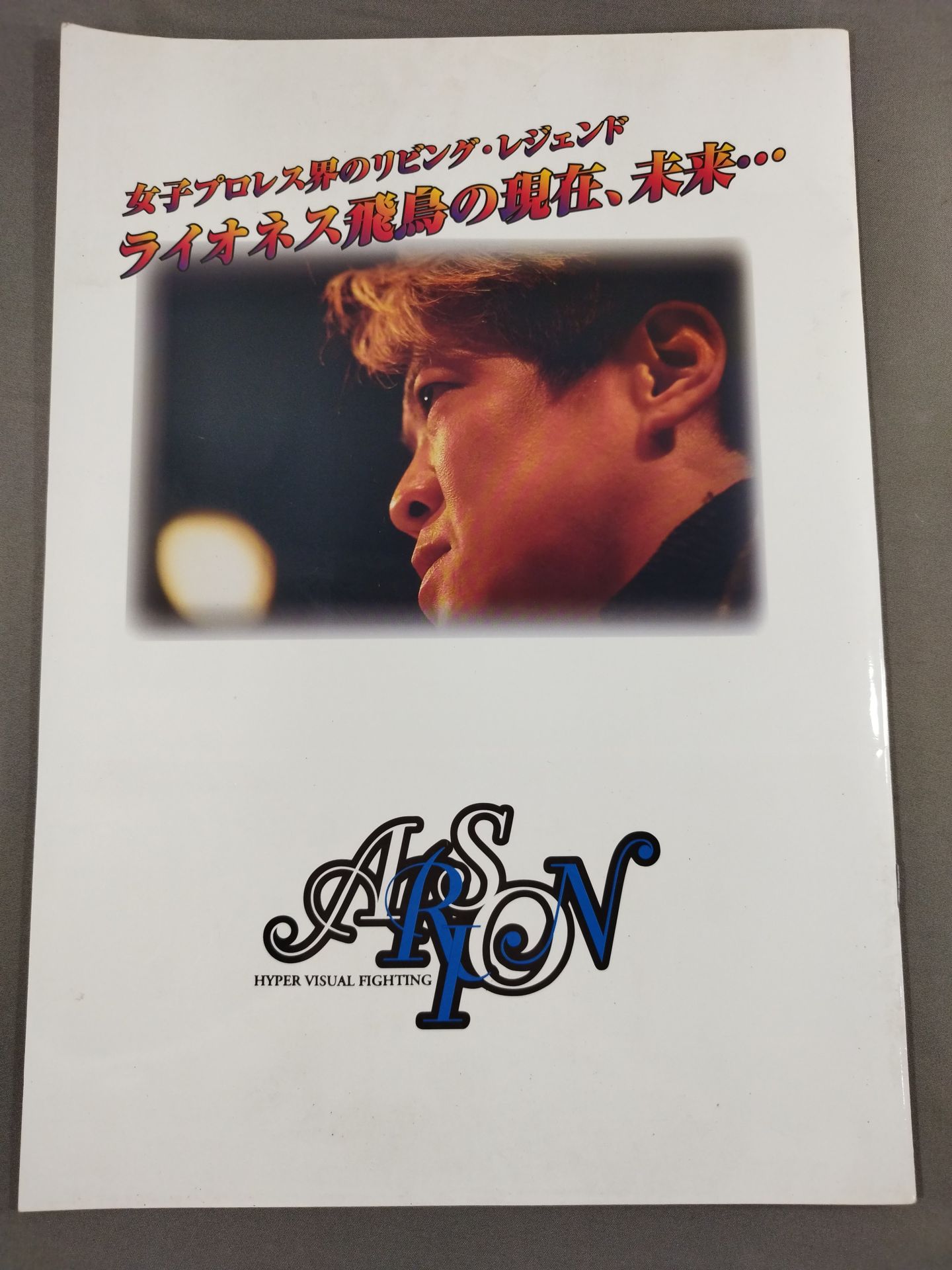 ARSION  Official Guidebook Vol.22