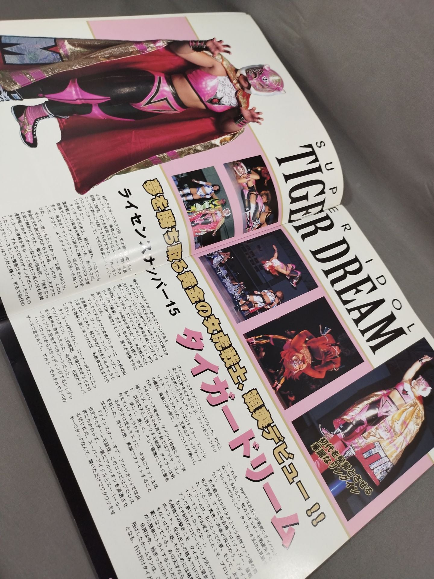 ARSION  Official Guidebook Vol.7