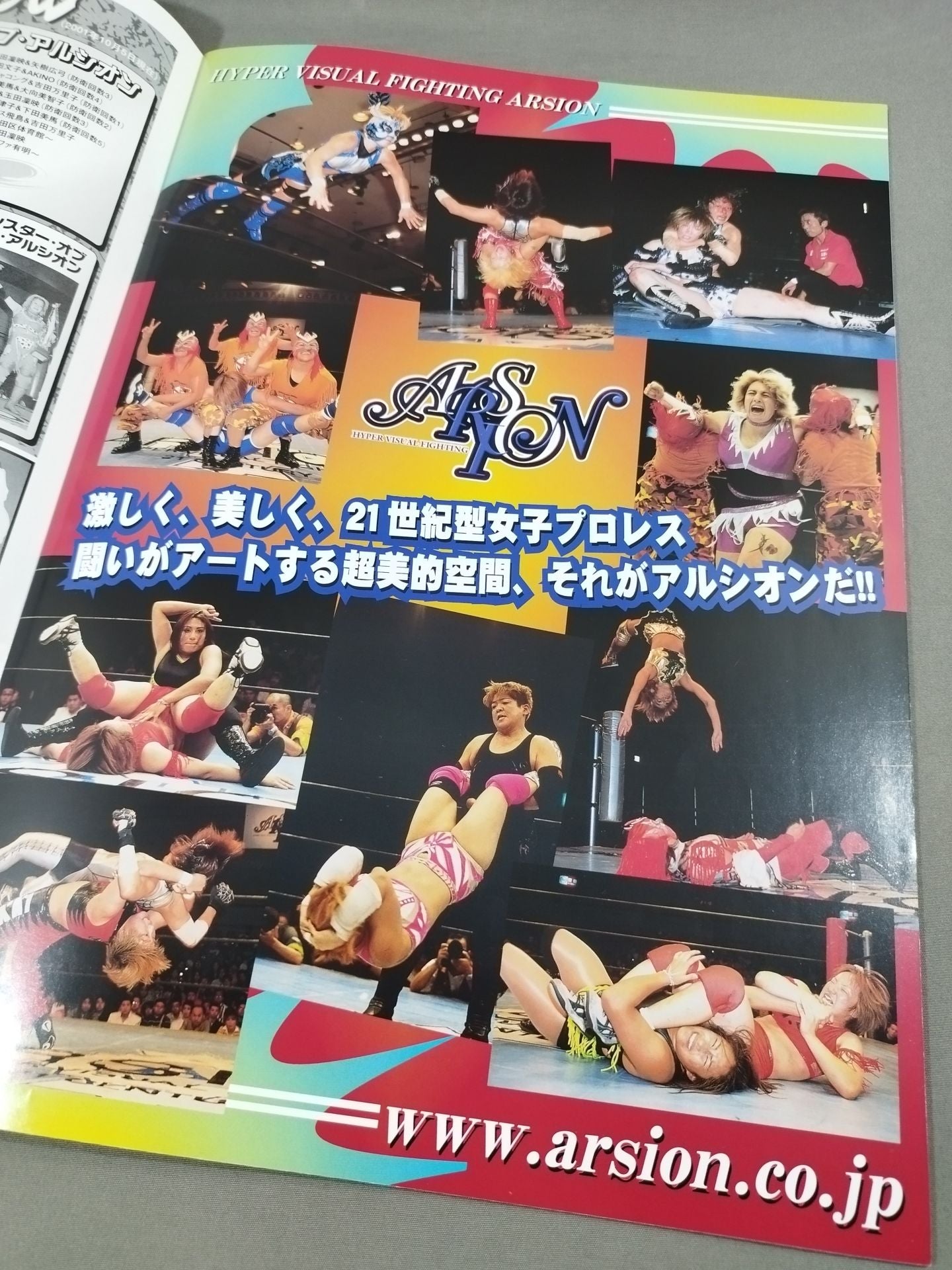 ARSION  Official Guidebook Vol.22