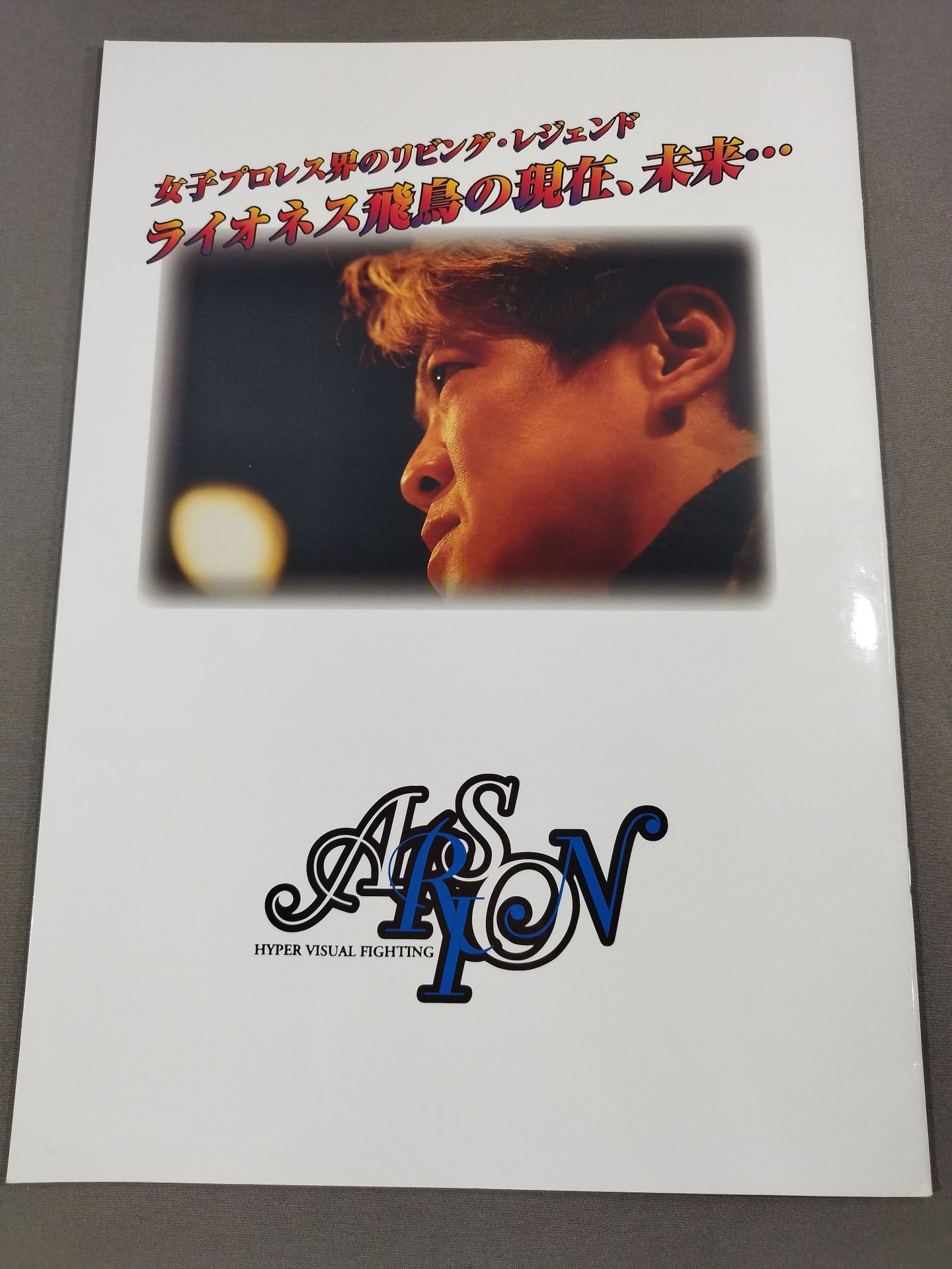 ARSION  Official Guidebook Vol.22