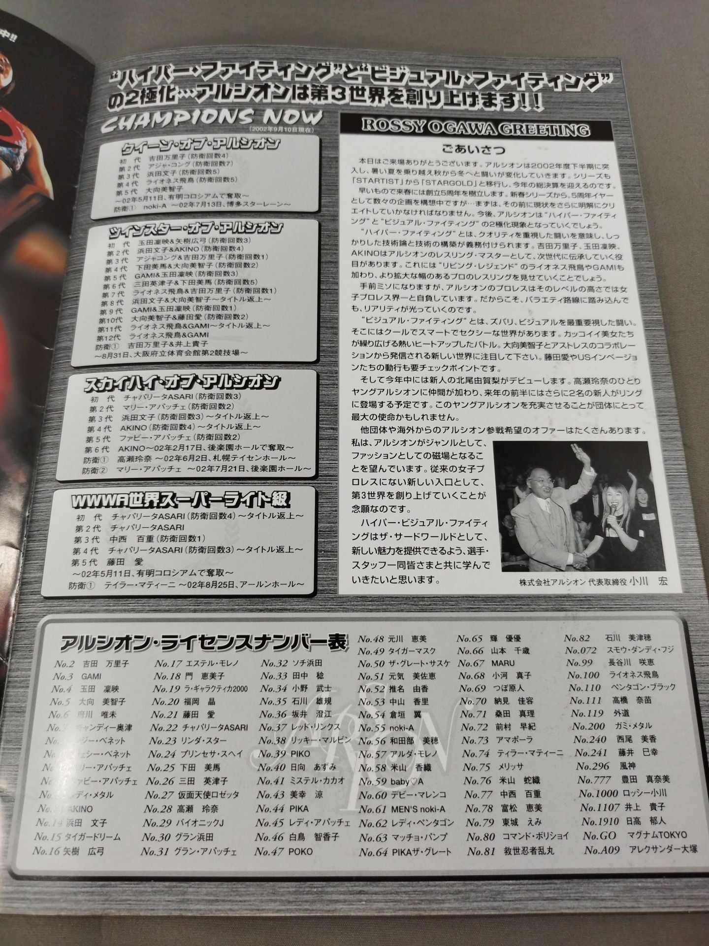 ARSION  Official Guidebook Vol.28