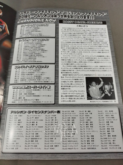 ARSION  Official Guidebook Vol.28