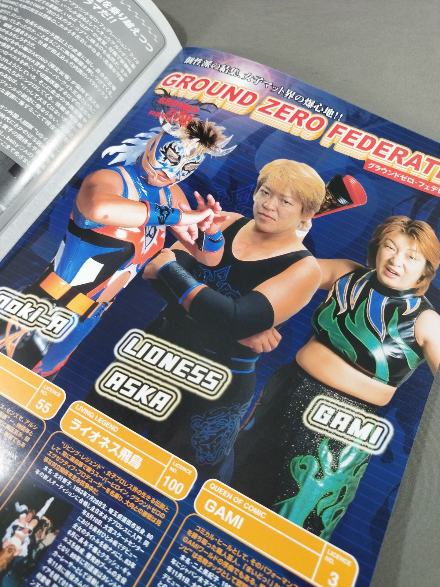 ARSION  Official Guidebook Vol.28