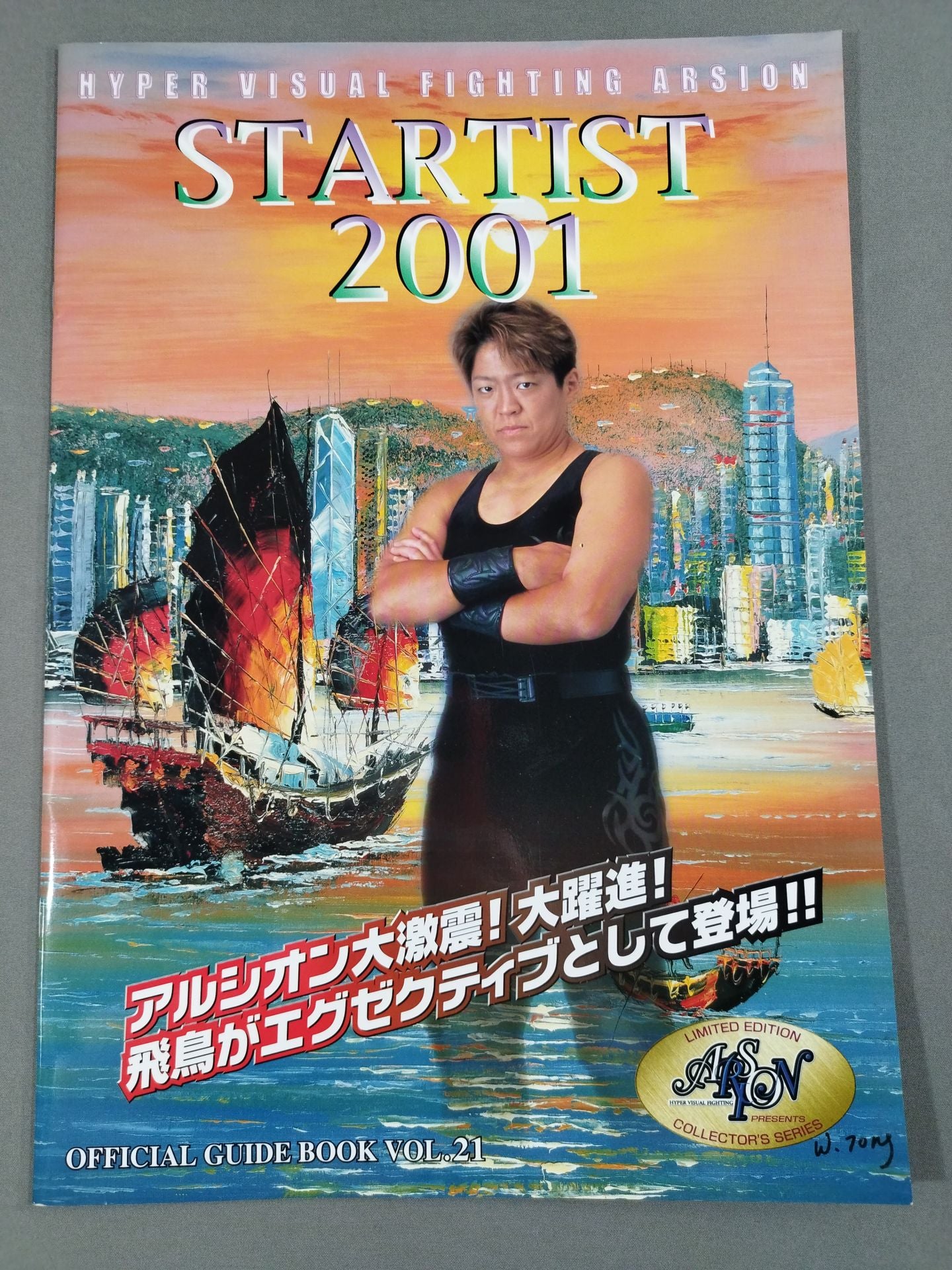 ARSION  Official Guidebook Vol.21