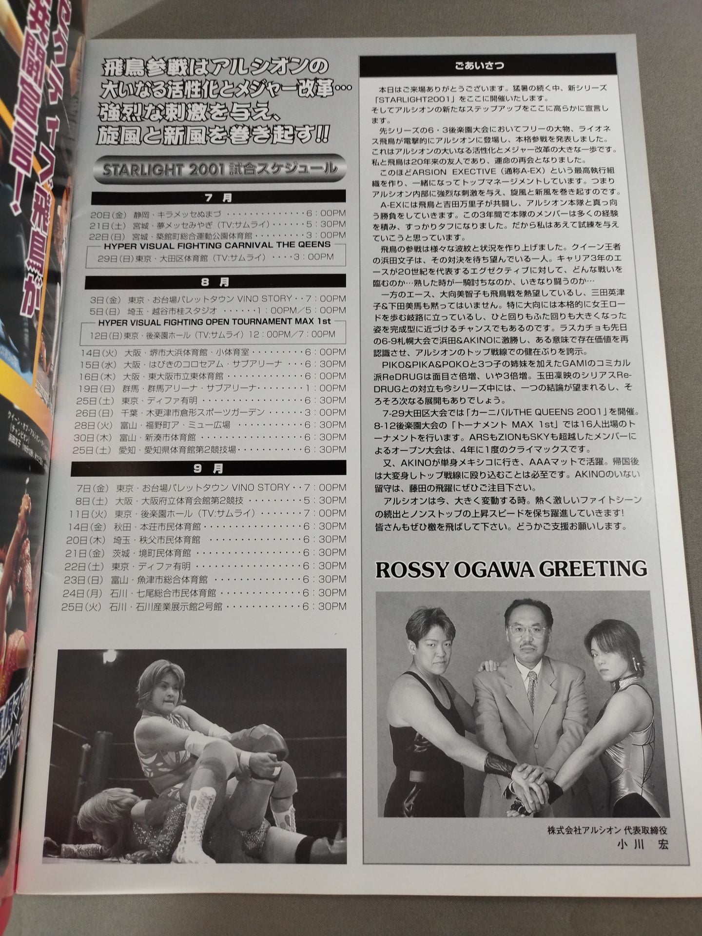 ARSION  Official Guidebook Vol.21