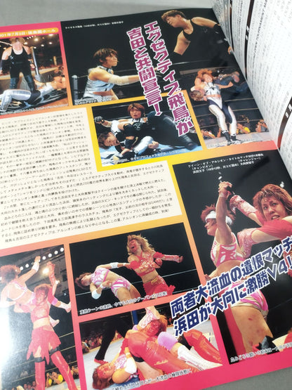 ARSION  Official Guidebook Vol.21