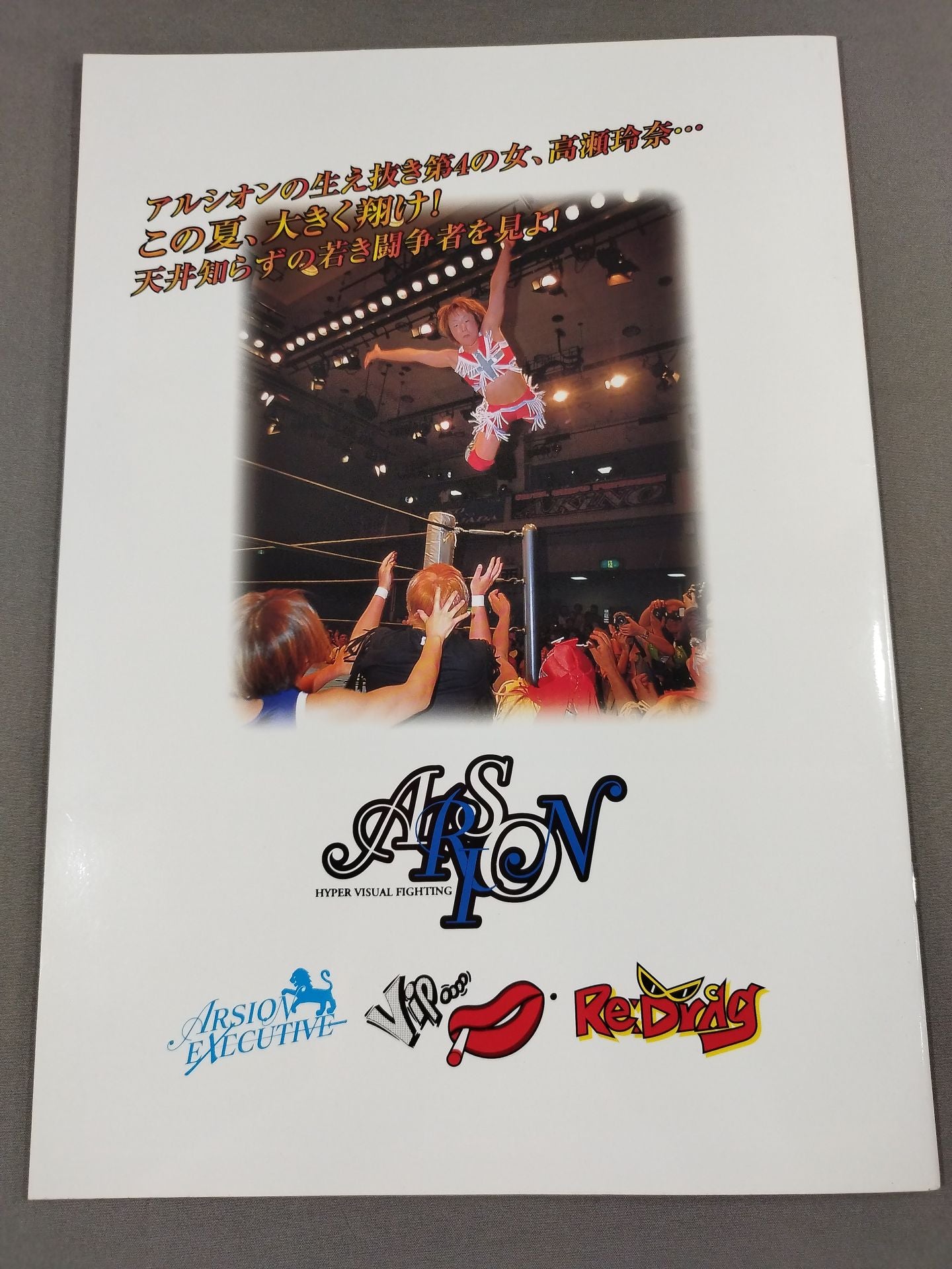 ARSION  Official Guidebook Vol.21