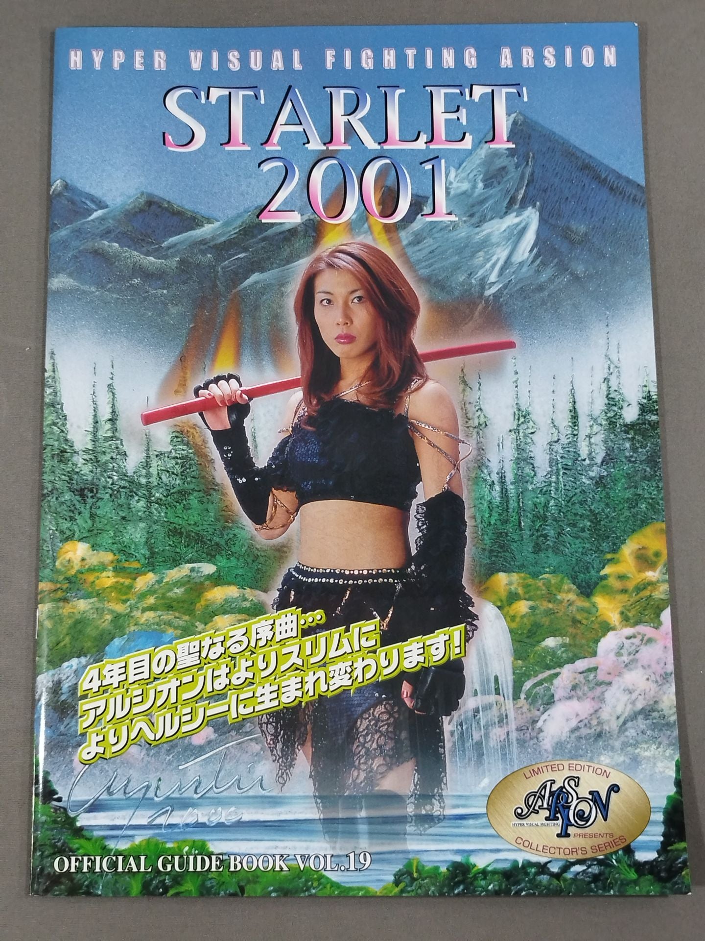 ARSION  Official Guidebook Vol.19