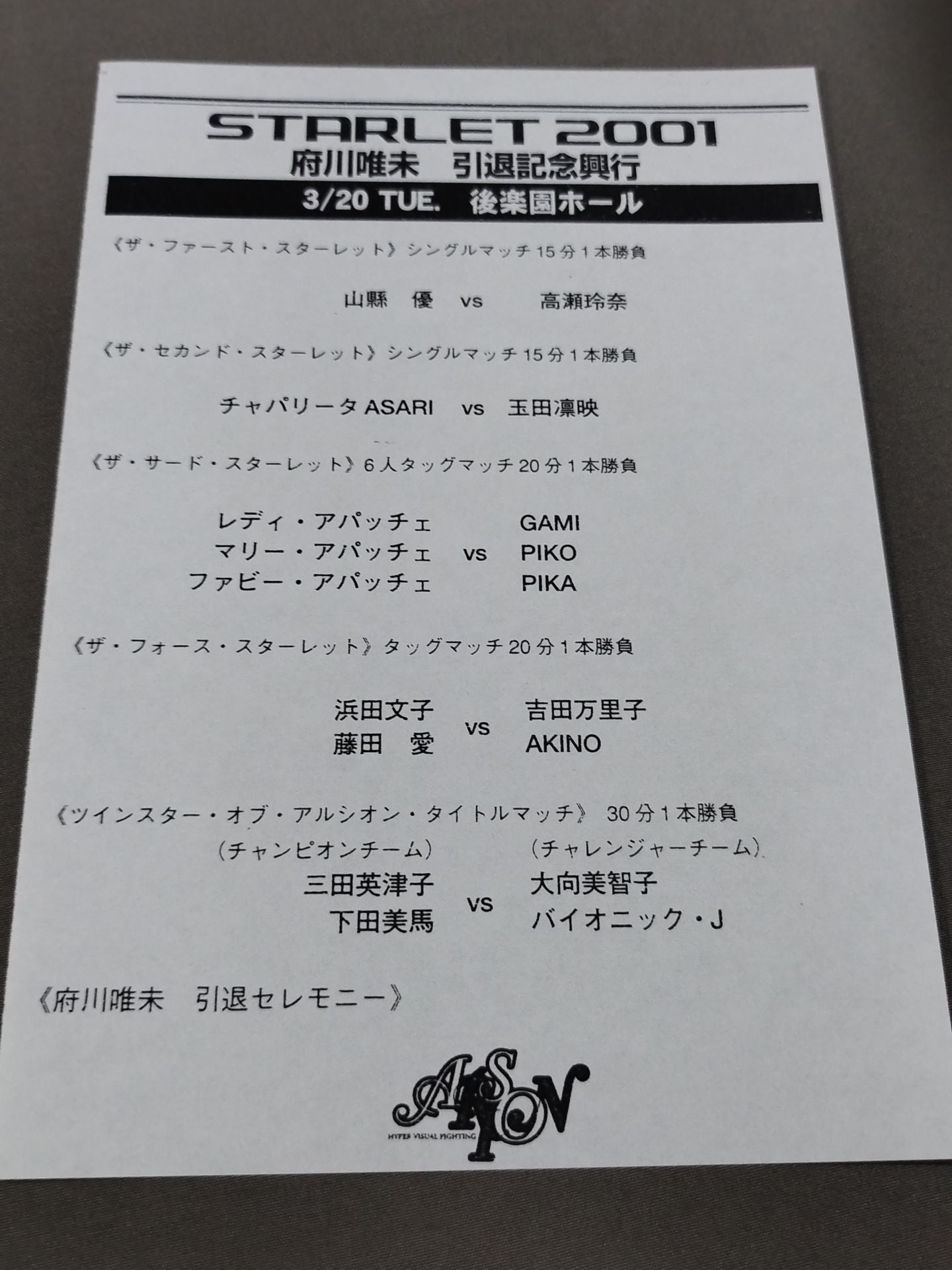 ARSION  Official Guidebook Vol.19