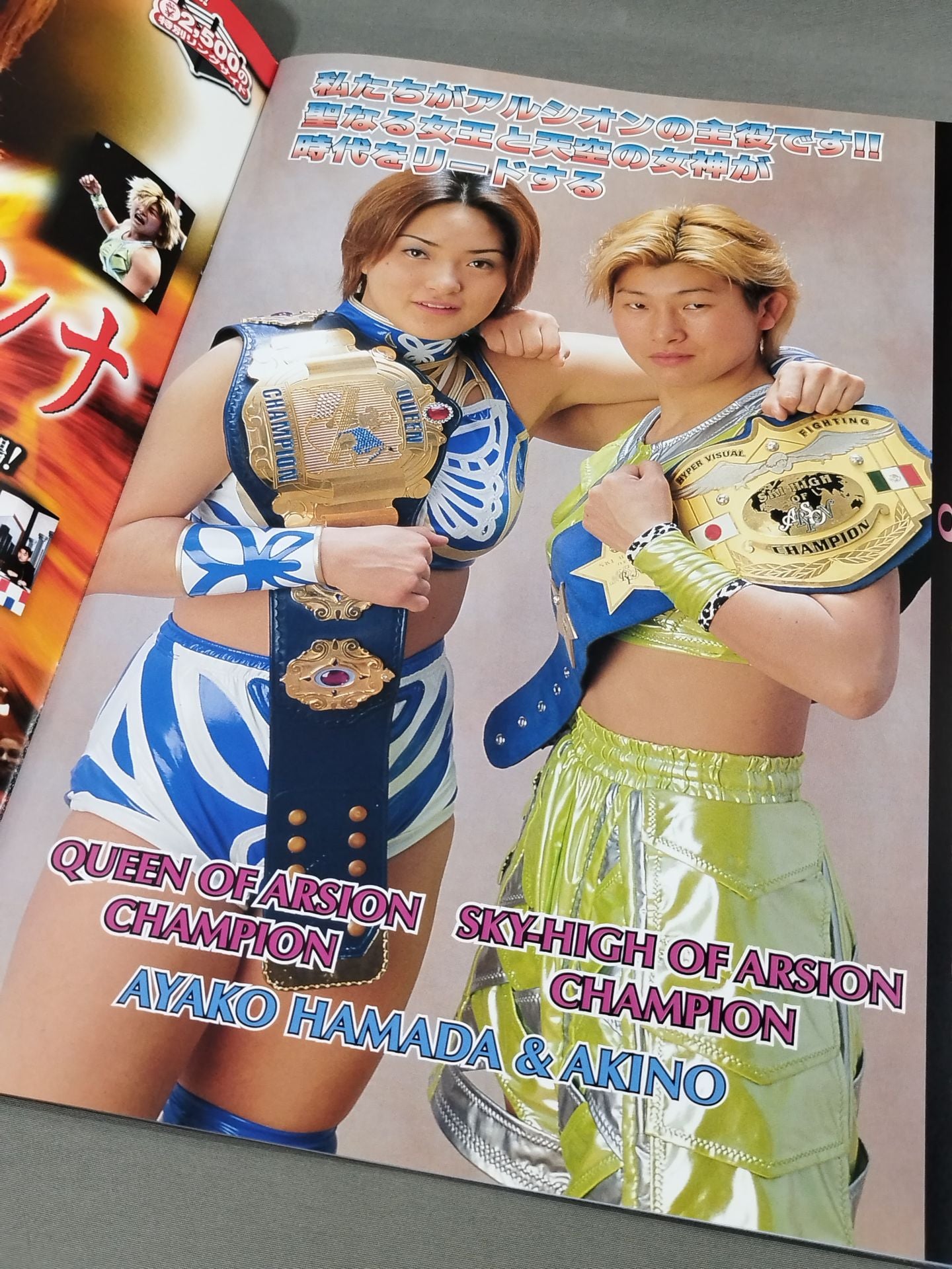 ARSION  Official Guidebook Vol.19