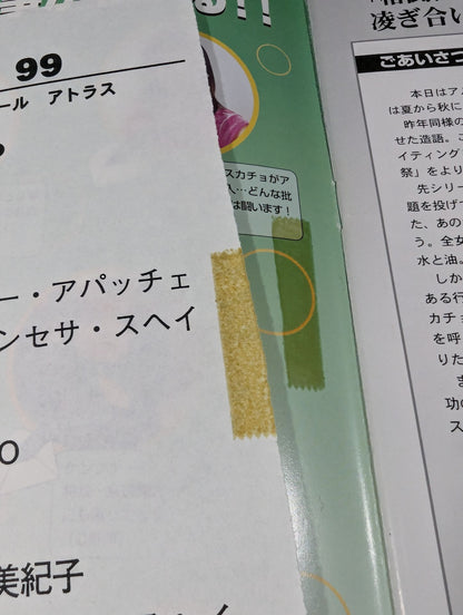 [Michiko Omukai  hand signed autograph ] ARSION  Official Guidebook Vol.12