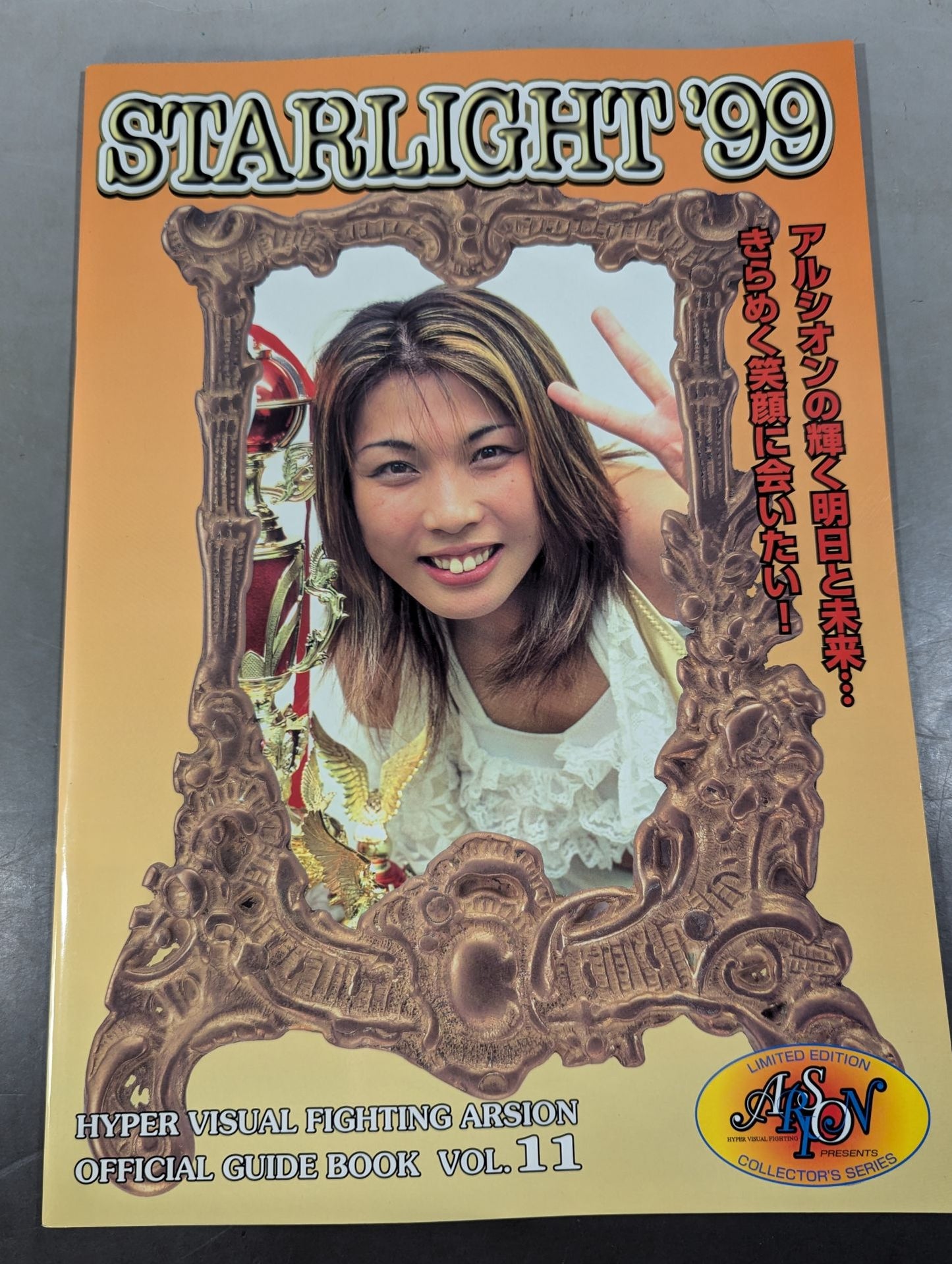 ARSION  Official Guidebook Vol.11