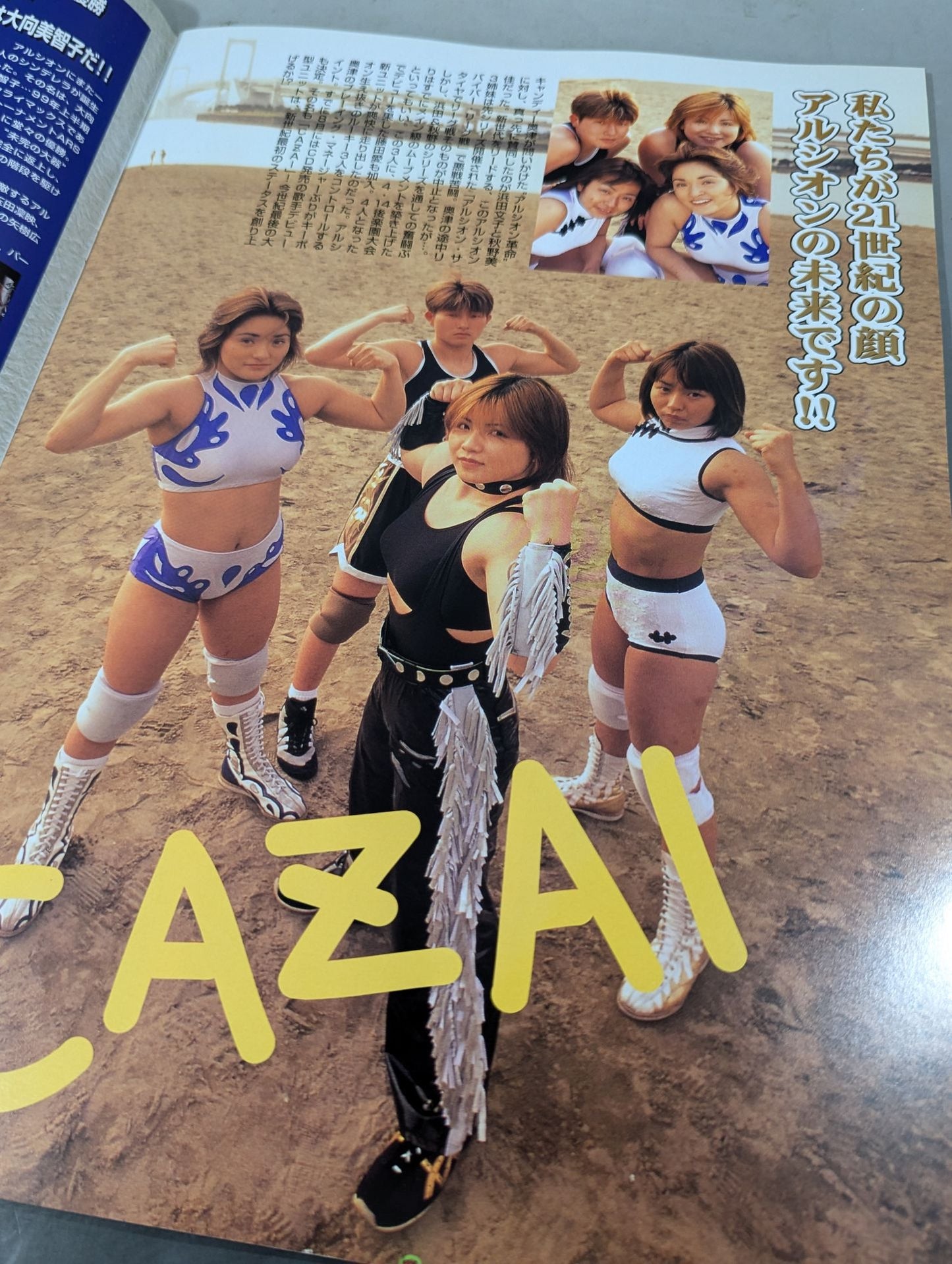 ARSION  Official Guidebook Vol.11