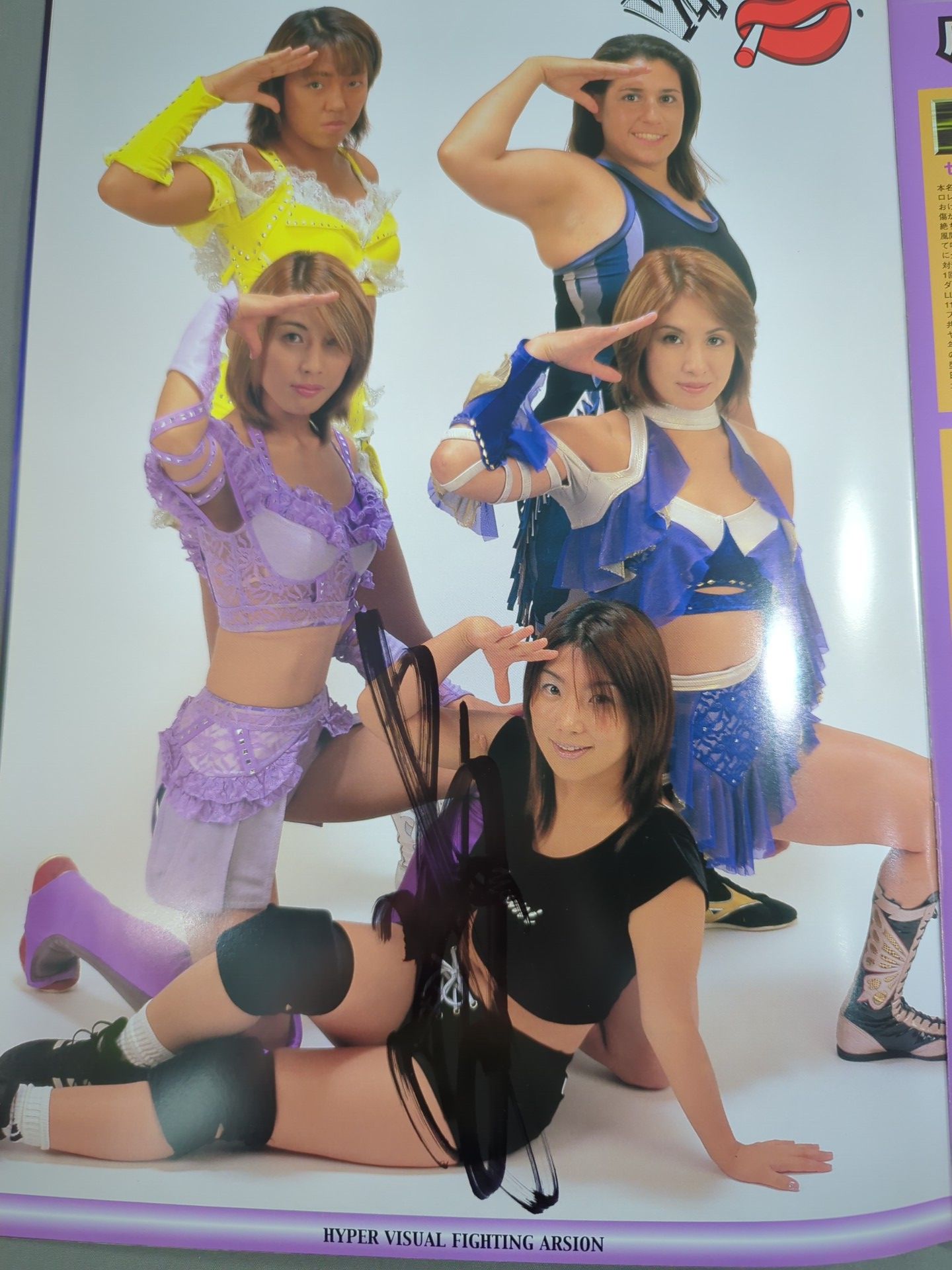 【2選手直筆サイン入り】アルシオン オフィシャルガイドブック Vol.17