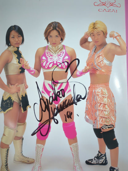 【2選手直筆サイン入り】アルシオン オフィシャルガイドブック Vol.17