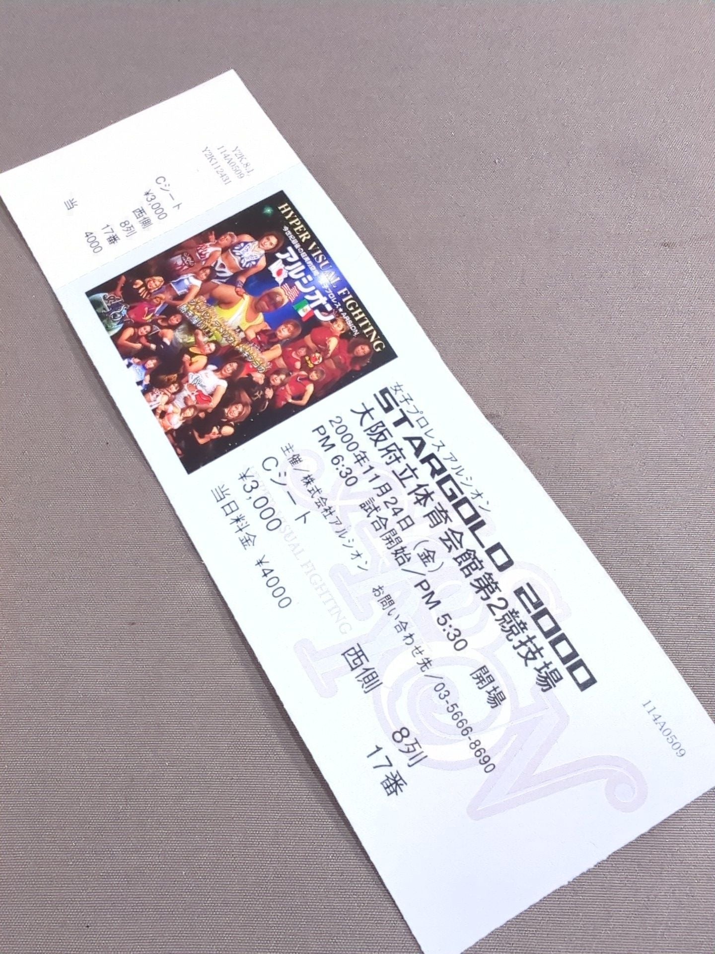 【2選手直筆サイン入り】アルシオン オフィシャルガイドブック Vol.17