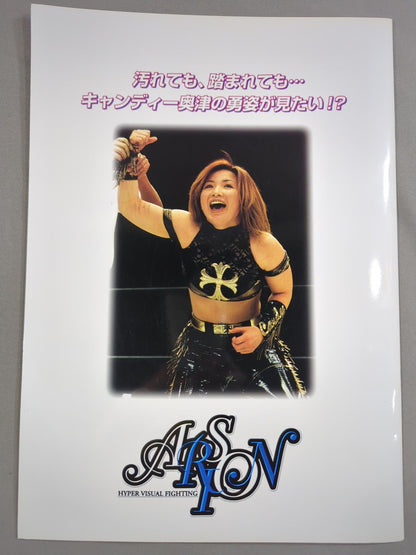 アルシオン STARLET 2000 オフィシャルガイドブック Vol.15