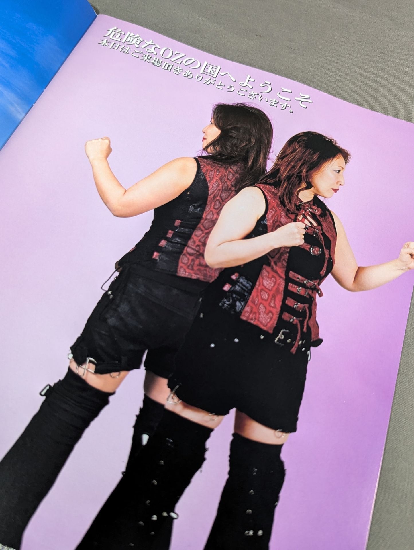 OZ Academy / Official Brochure ♯15