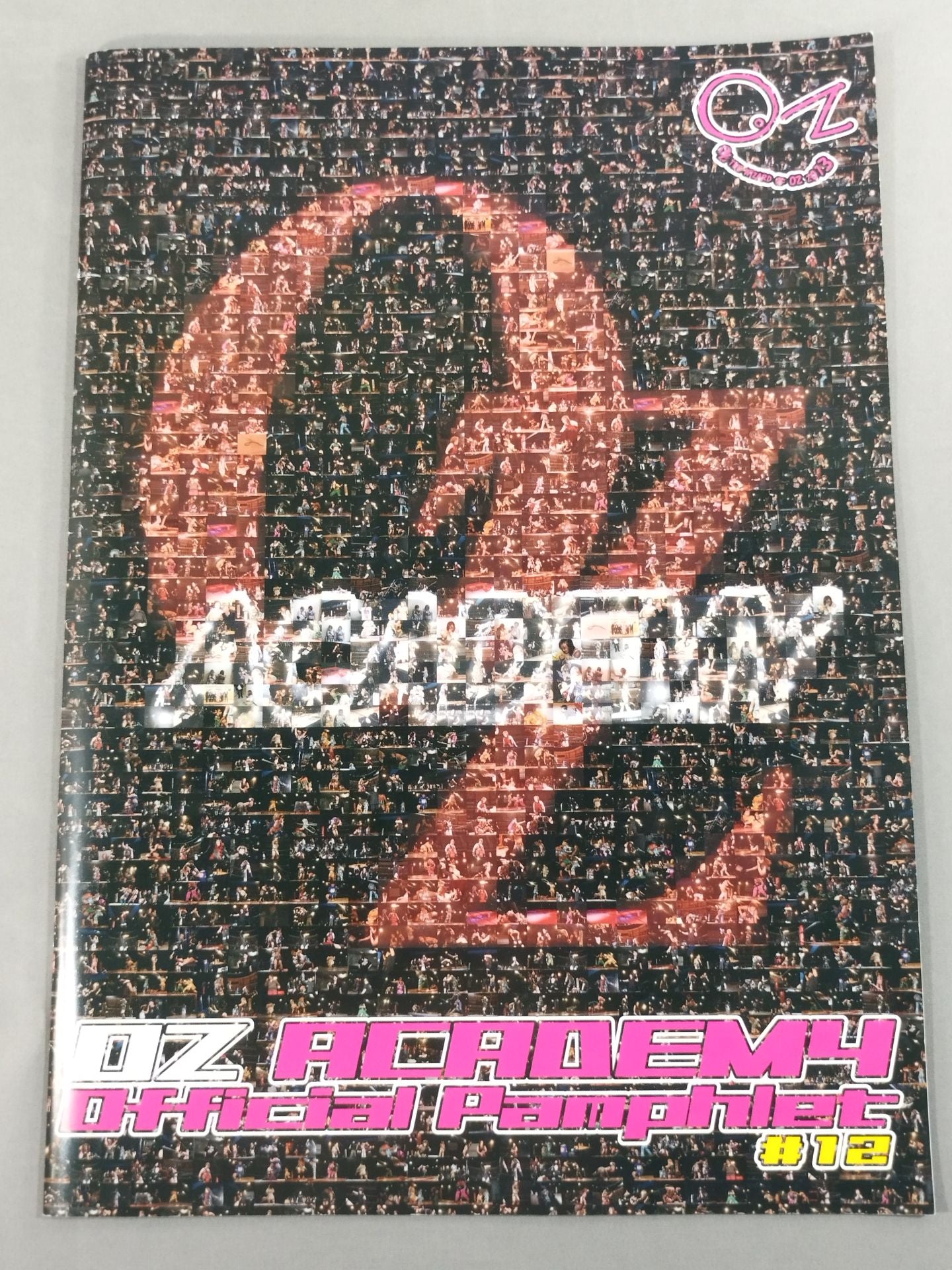 OZ Academy / Official Brochure ♯12