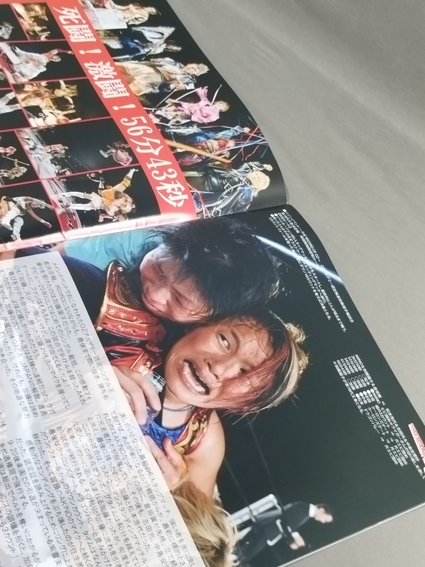 OZ Academy / Official Pamphlet Extra Issue 2015