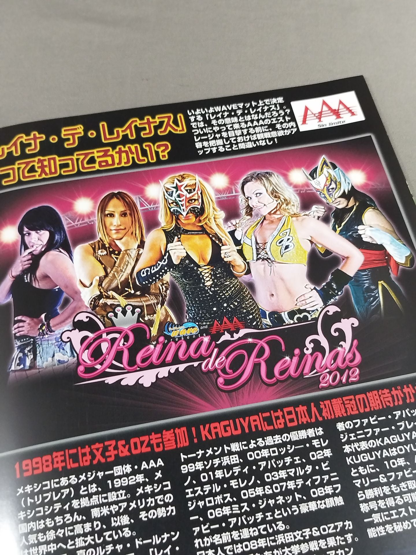 Pro-wrestling  WAVE Official Pamphlet vol.59