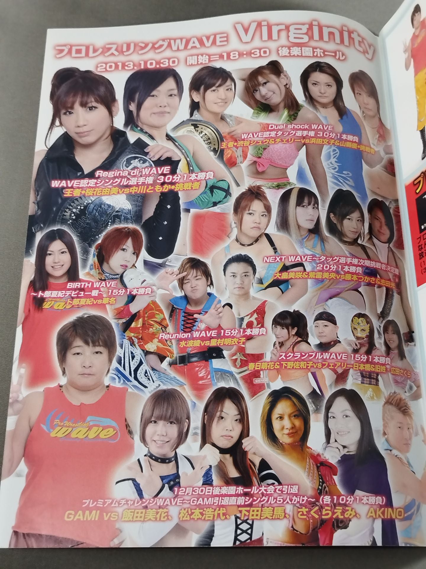 Pro-wrestling  WAVE Official Brochure vol.68