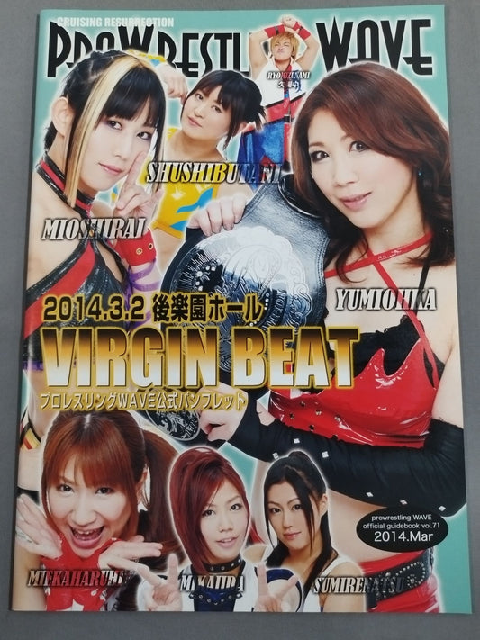 Pro-wrestling  WAVE Official Pamphlet vol.71