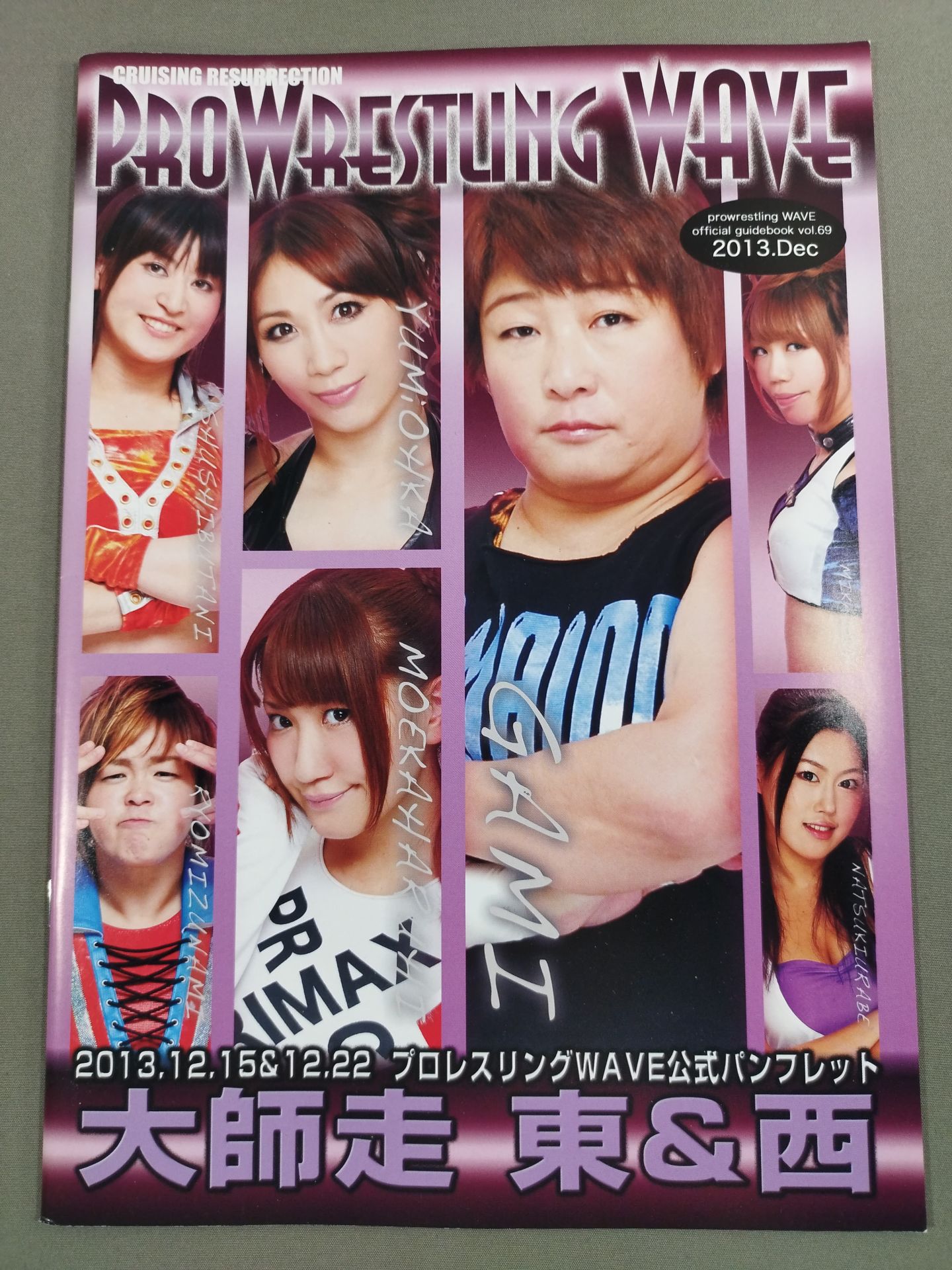 Pro-wrestling  WAVE Official Pamphlet vol.69