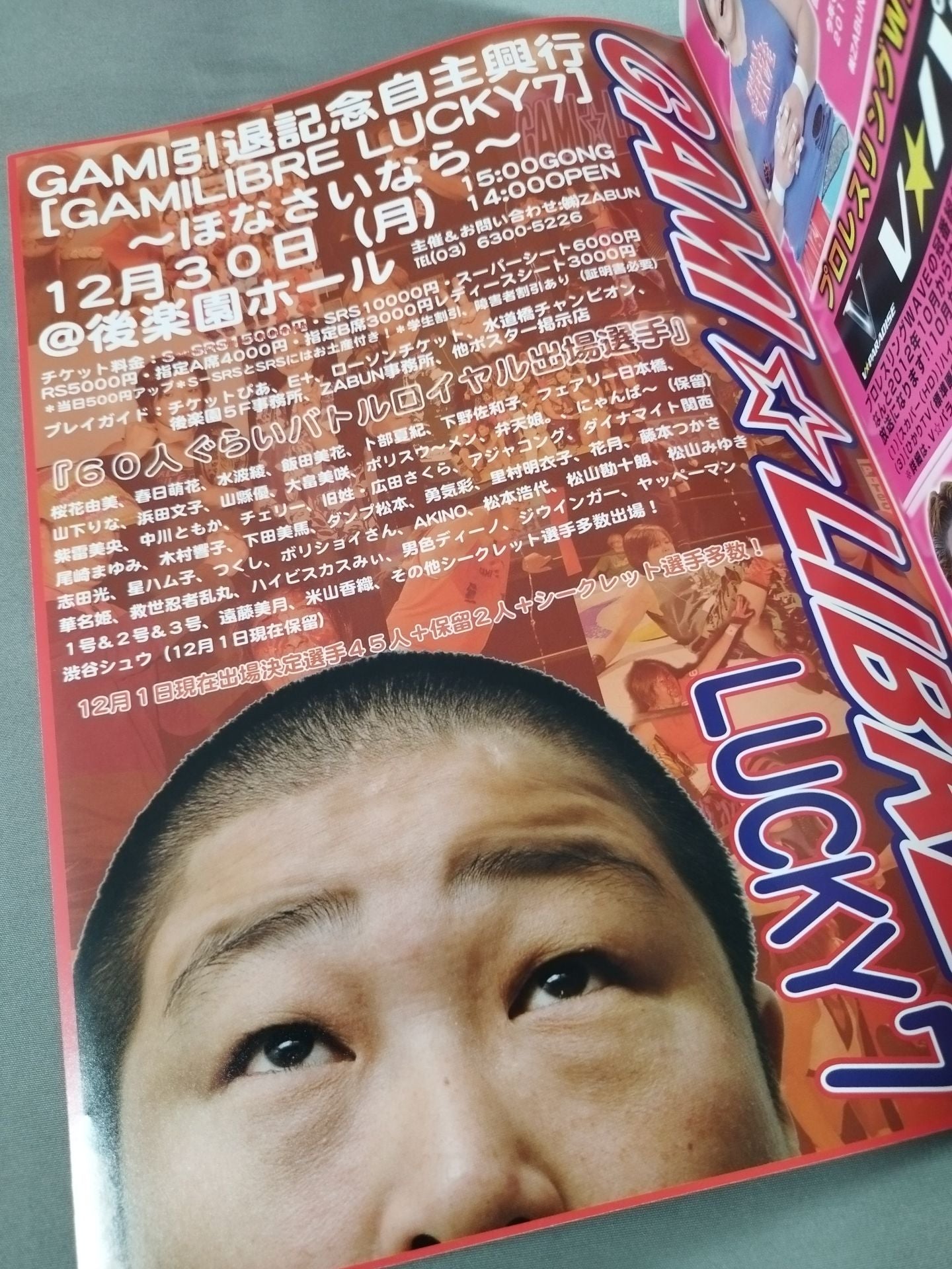 Pro-wrestling  WAVE Official Pamphlet vol.69