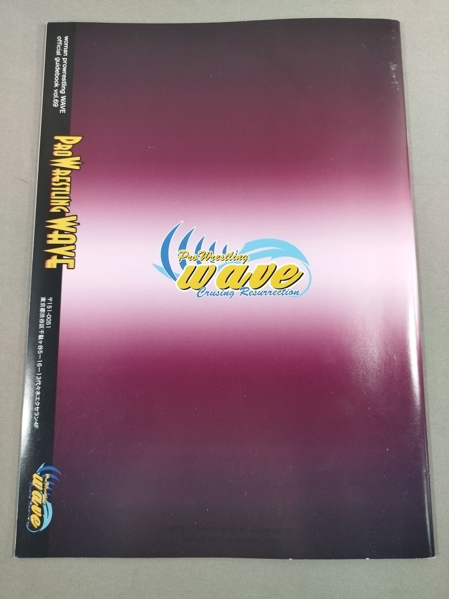 Pro-wrestling  WAVE Official Pamphlet vol.69