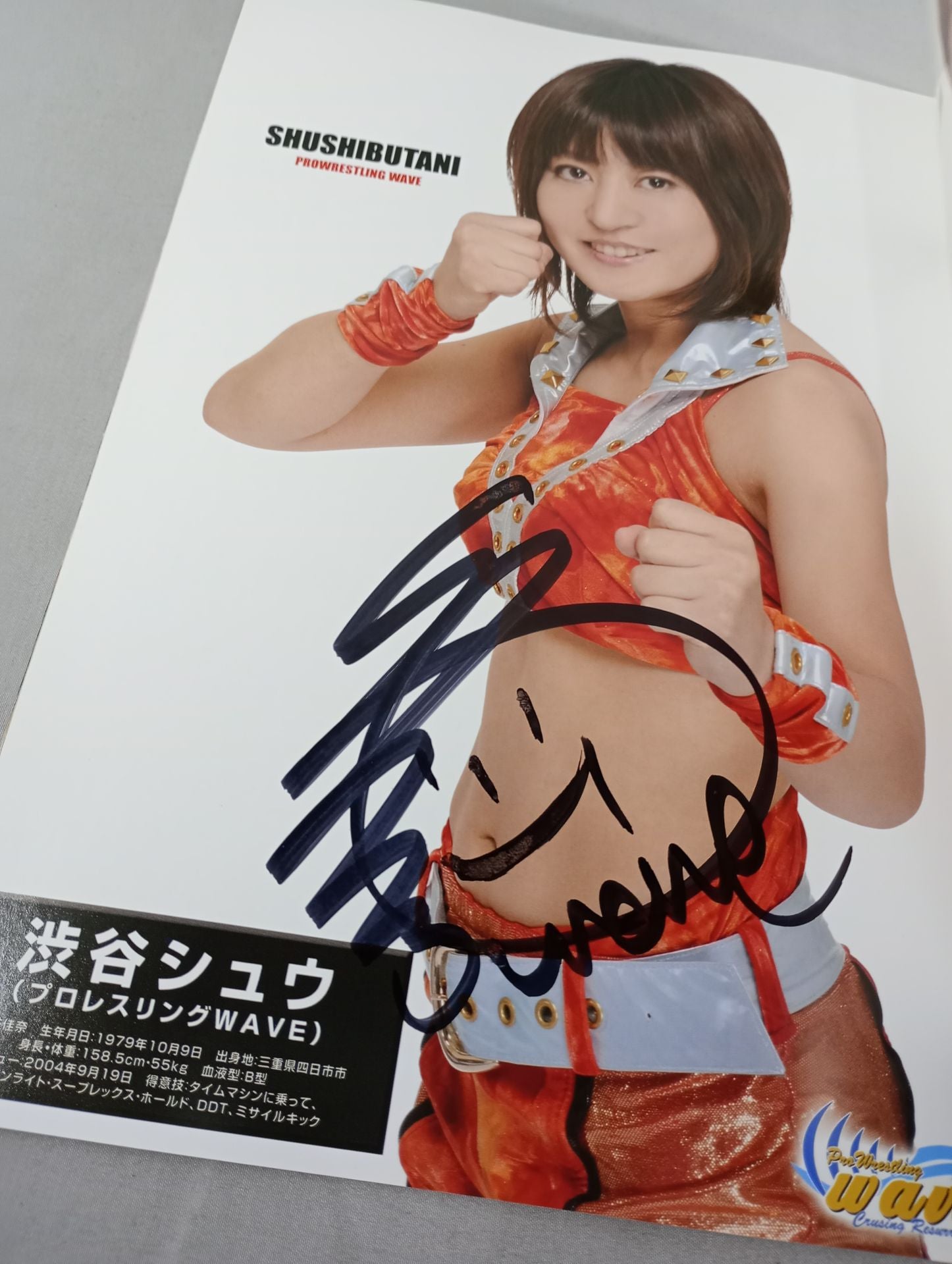 プロレス　パンフレット　直筆サイン入り fit=scale-down,w=1200
