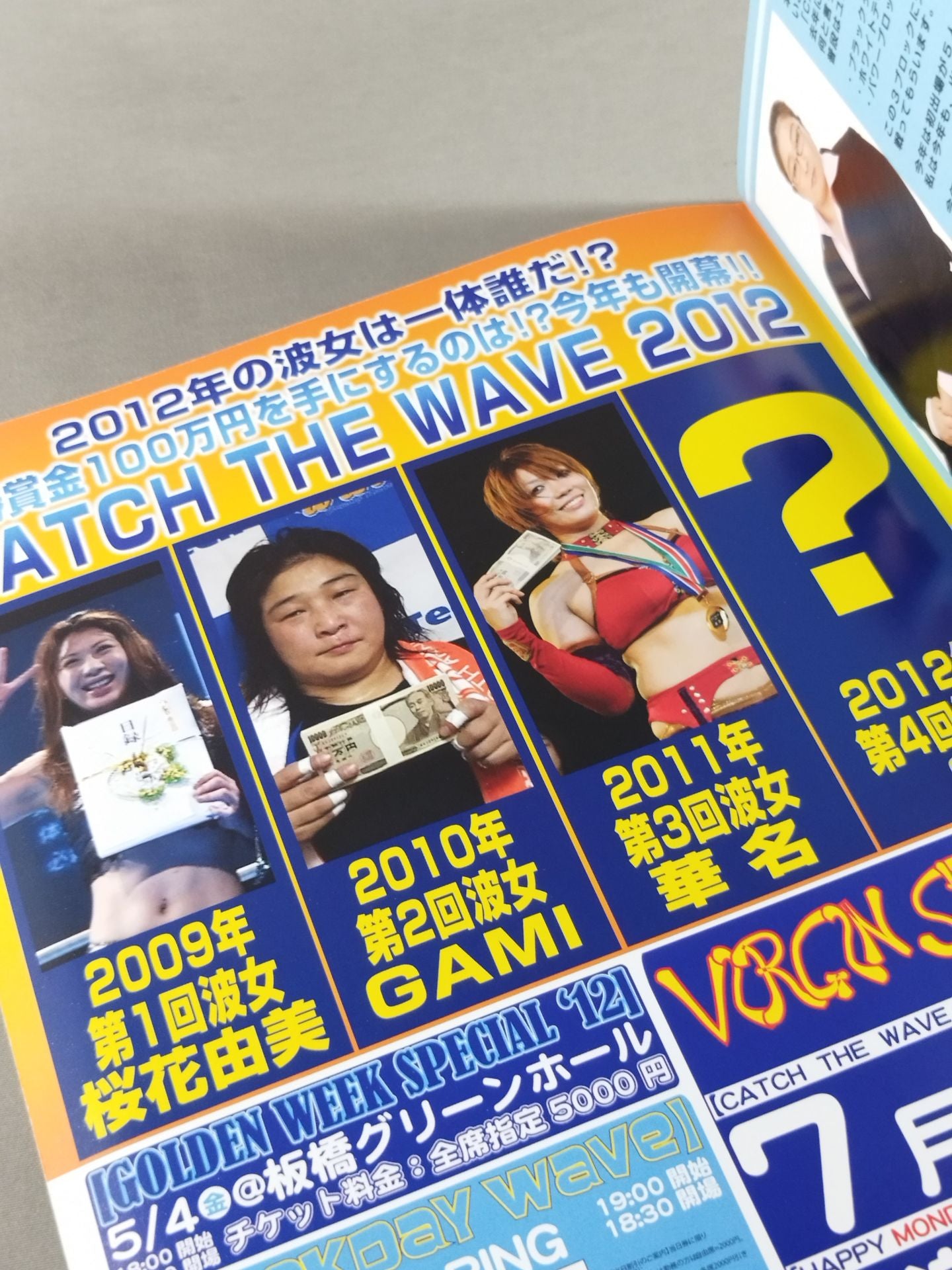 Pro-wrestling  WAVE Official Brochure vol.55