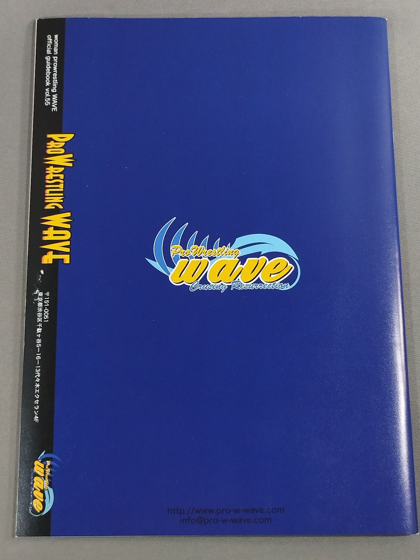 Pro-wrestling  WAVE Official Brochure vol.55