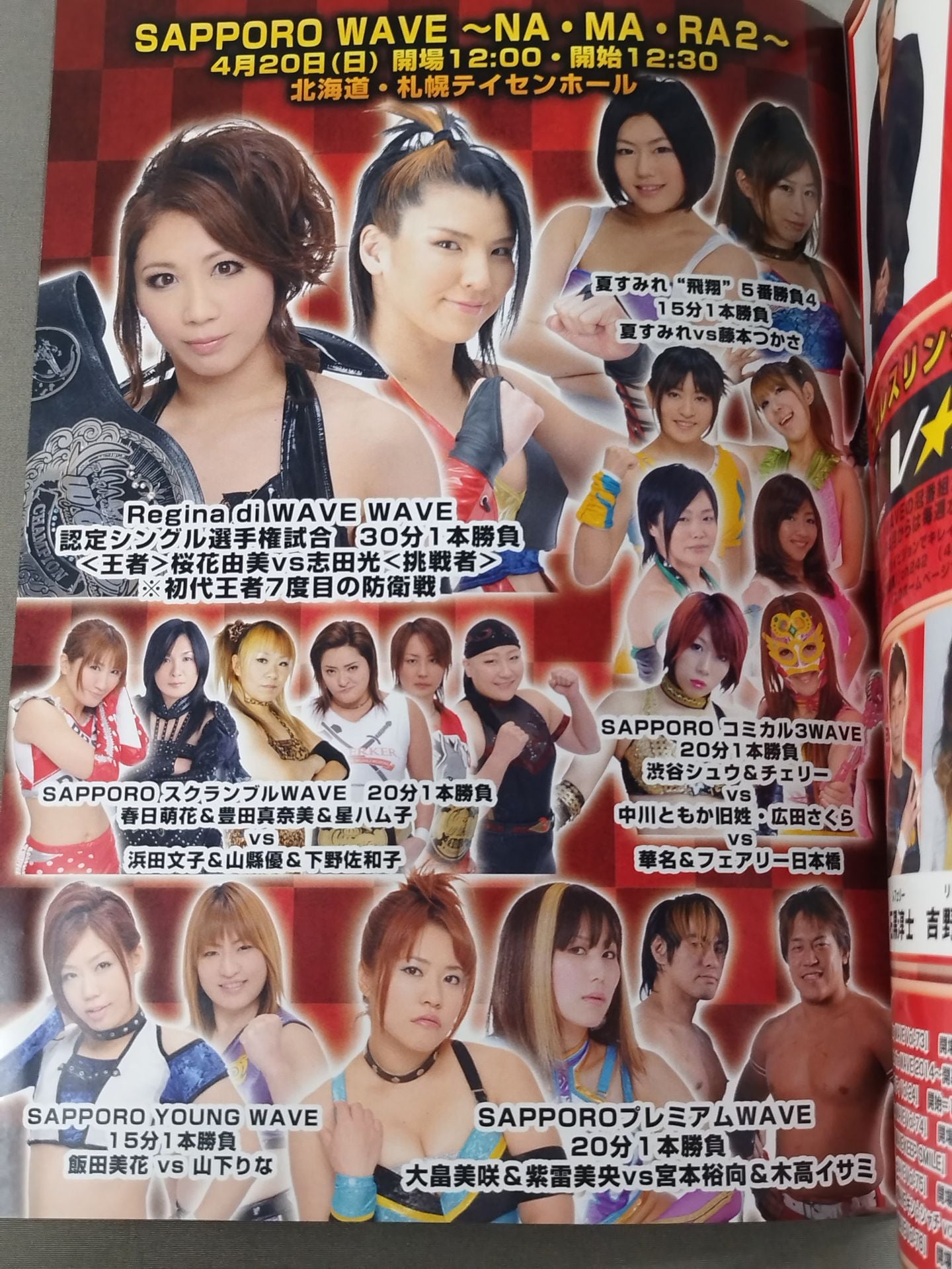 Pro-wrestling  WAVE Official Brochure vol.72