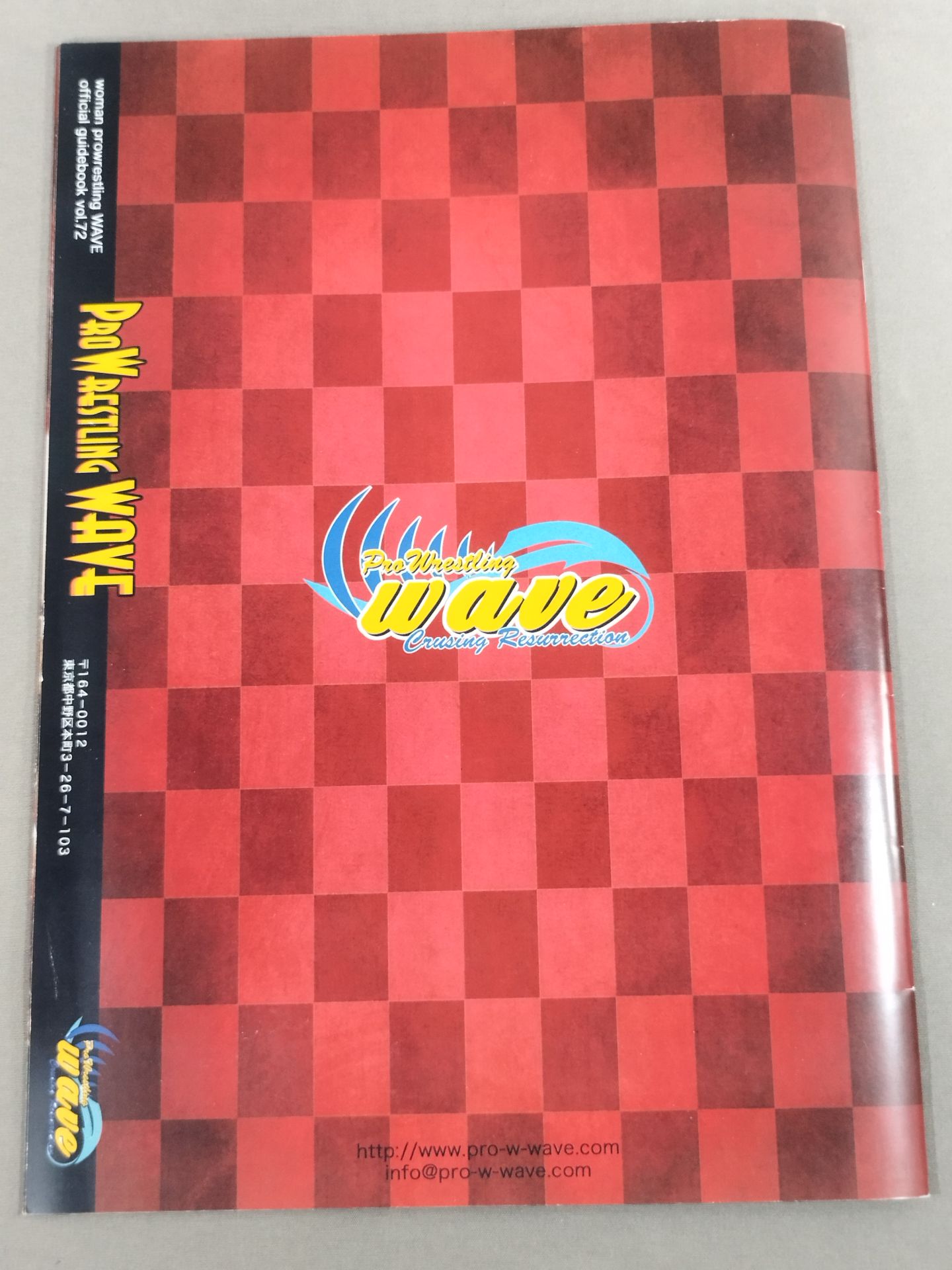 Pro-wrestling  WAVE Official Brochure vol.72