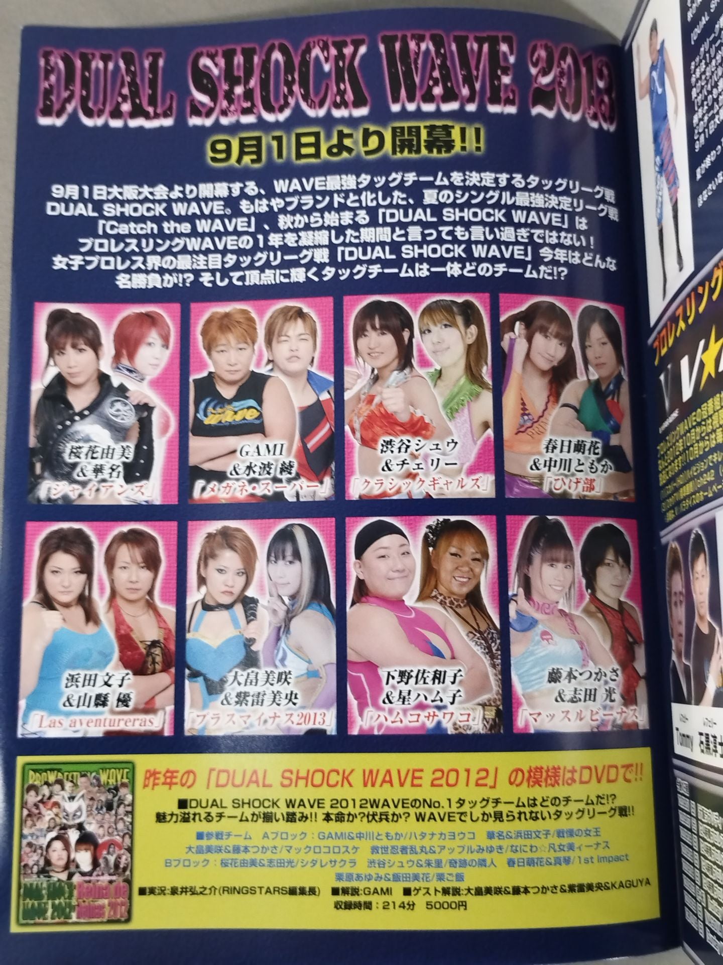 Pro-wrestling  WAVE Official Brochure vol.66