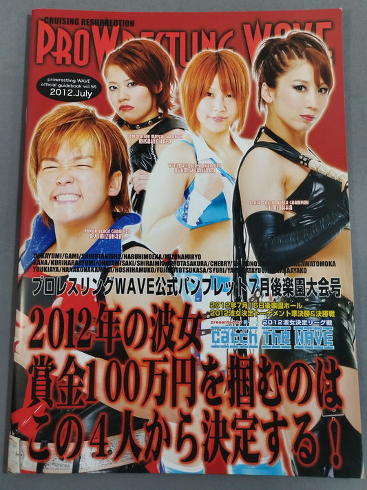 Pro-wrestling  WAVE Official Brochure vol.56