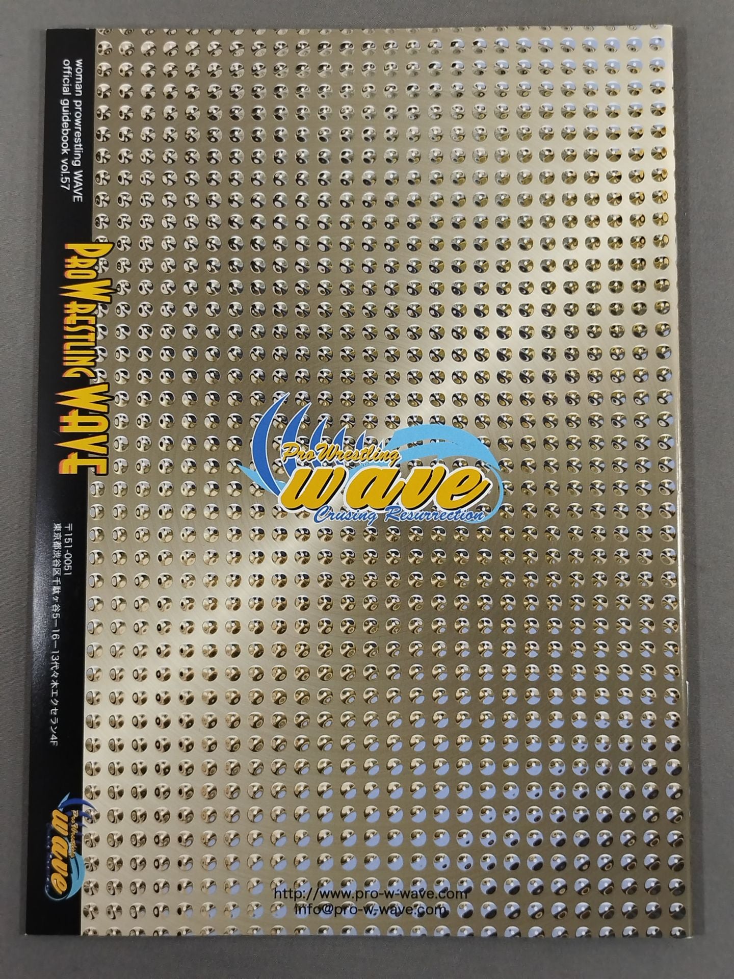 Pro-wrestling  WAVE Official Brochure vol.57