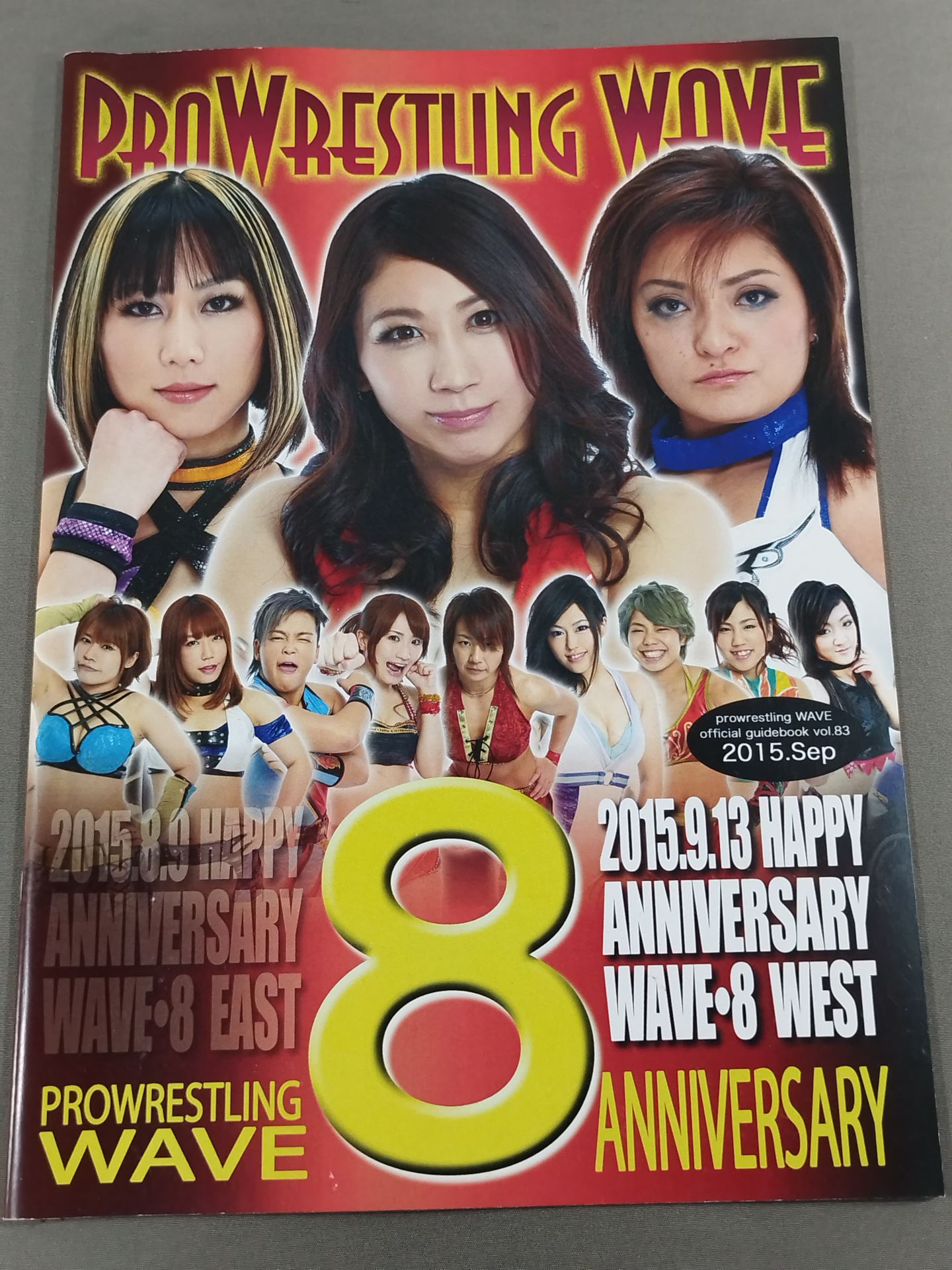 Pro-wrestling  WAVE Official Brochure vol.83