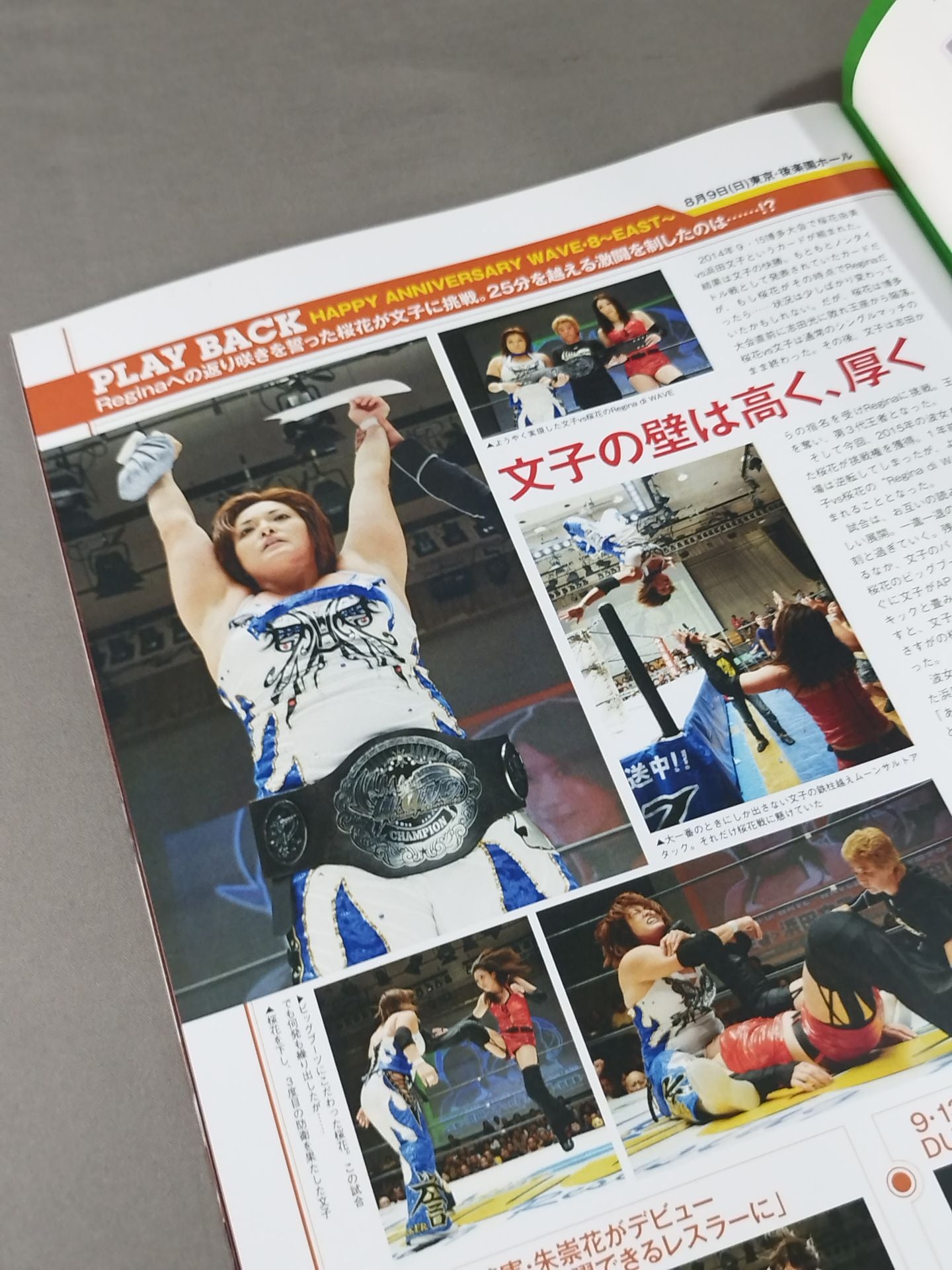 Pro-wrestling  WAVE Official Brochure vol.83