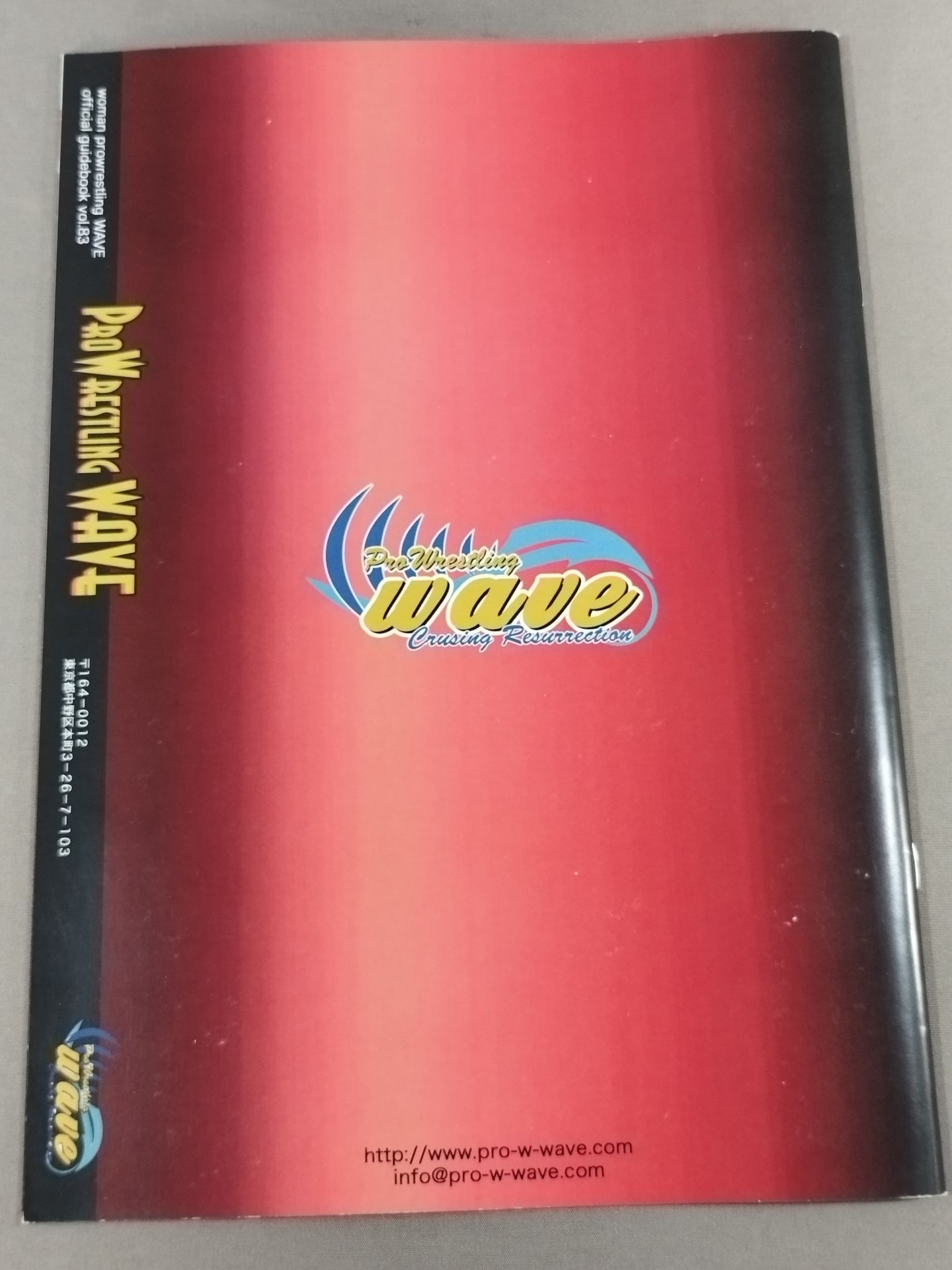 Pro-wrestling  WAVE Official Brochure vol.83