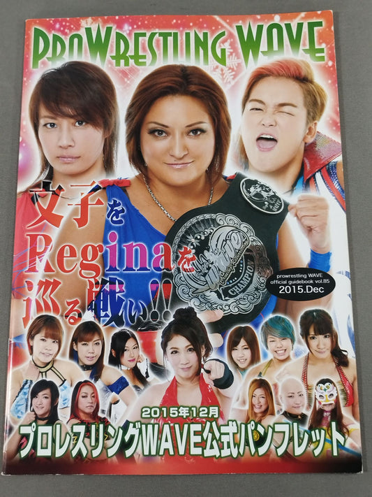 Pro-wrestling  WAVE Official Brochure vol.85