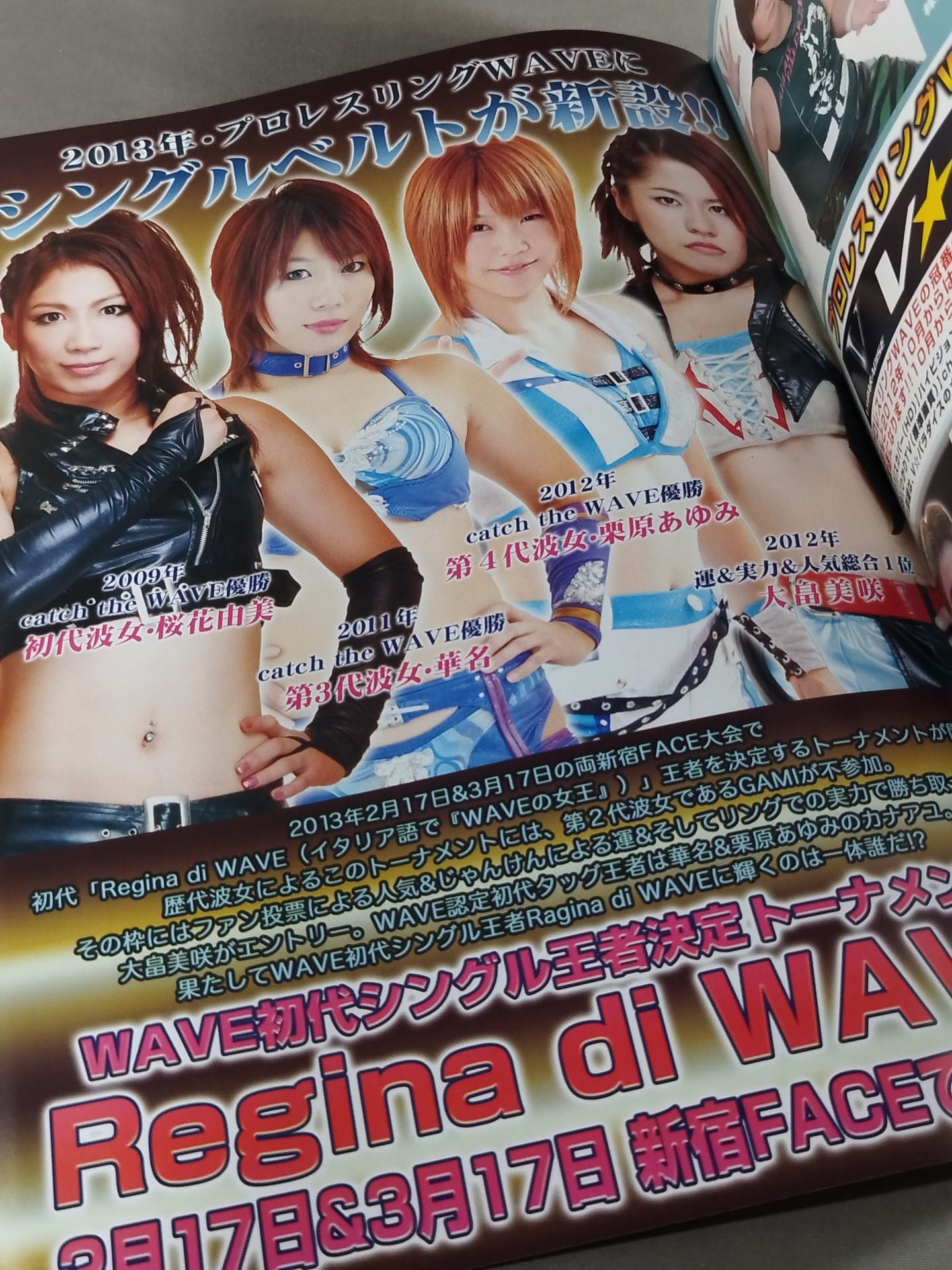 Pro-wrestling  WAVE Official Brochure vol.60