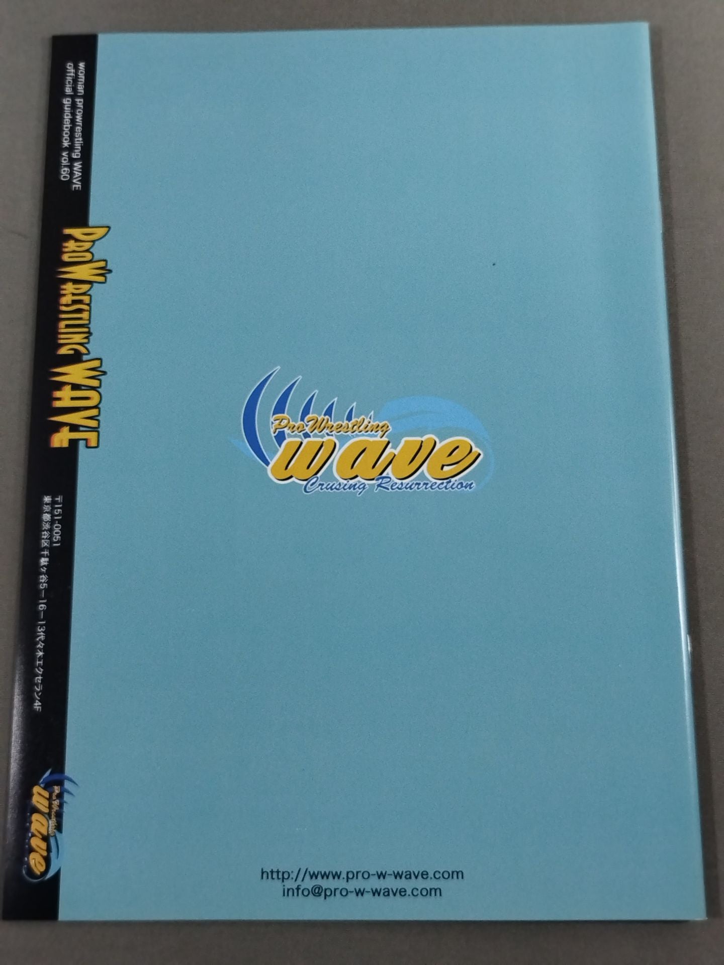 Pro-wrestling  WAVE Official Brochure vol.60